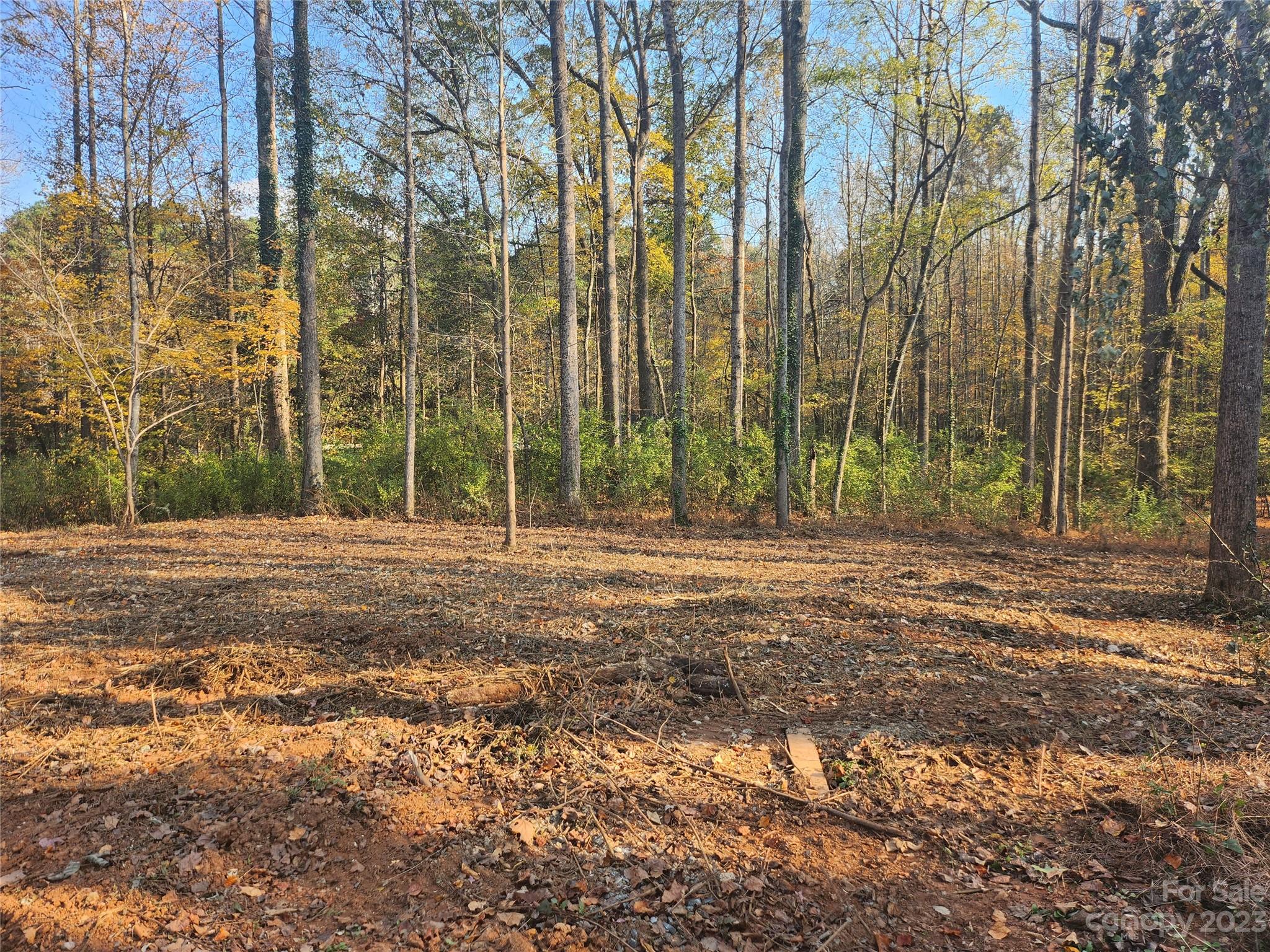 Huntersville, NC Lot for Sale CAR4074508 Caruso Homes