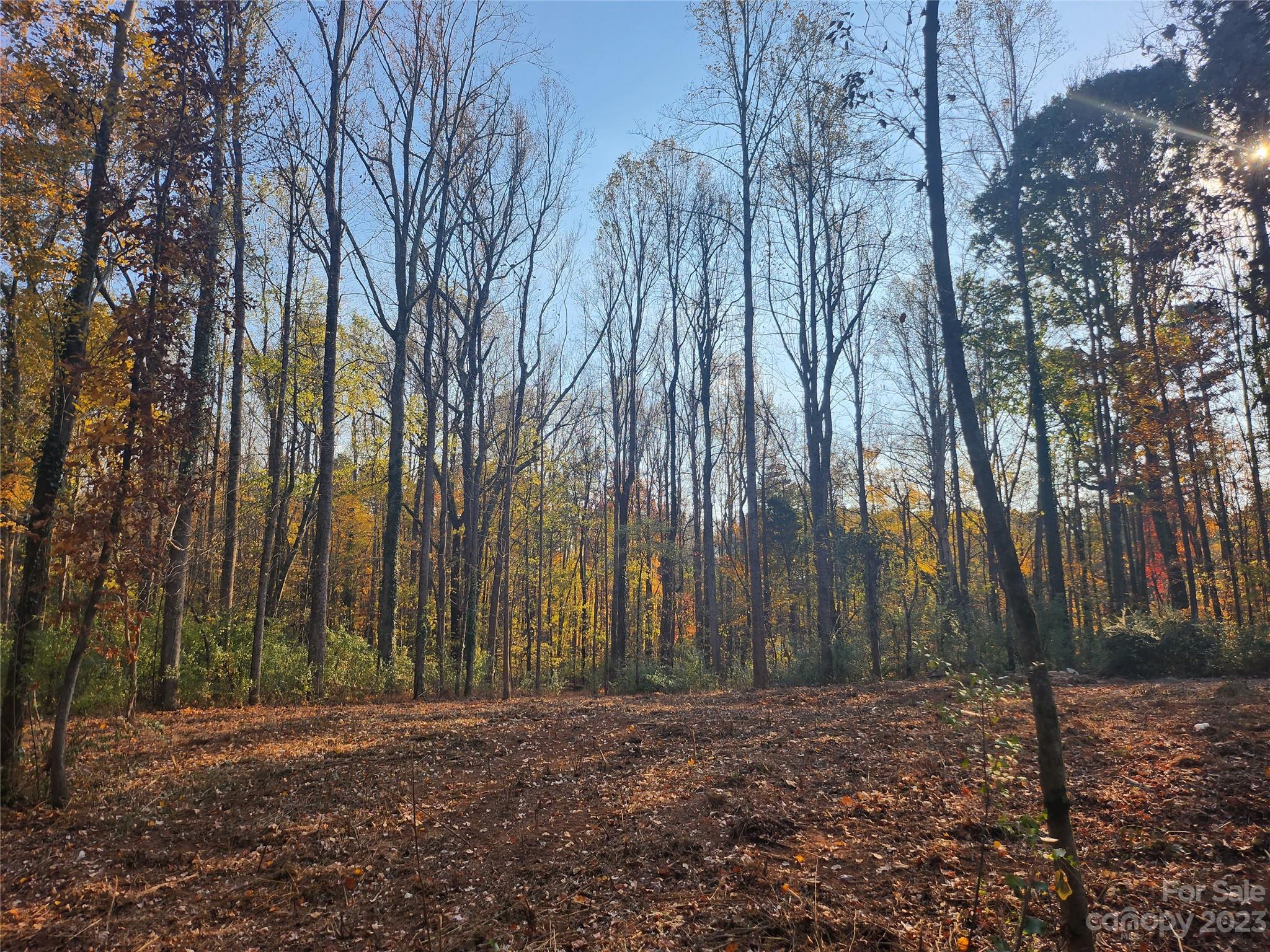 Huntersville, NC Lot for Sale CAR4074508 Caruso Homes