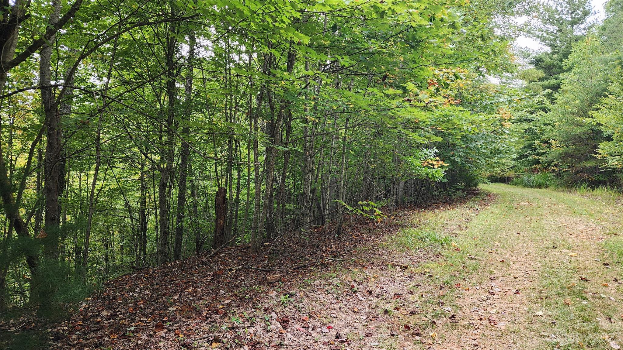 Spruce Pine, NC Lot for Sale CAR4074794 Caruso Homes