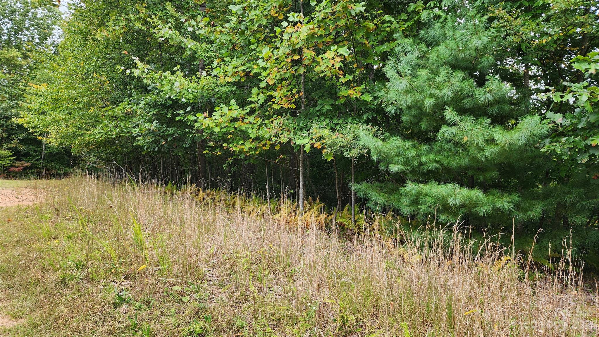 Spruce Pine, NC Lot for Sale CAR4074794 Caruso Homes