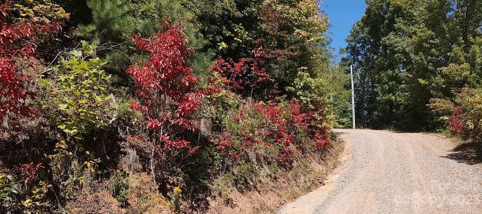 Sylva, NC Lot for Sale CAR4075175 Caruso Homes