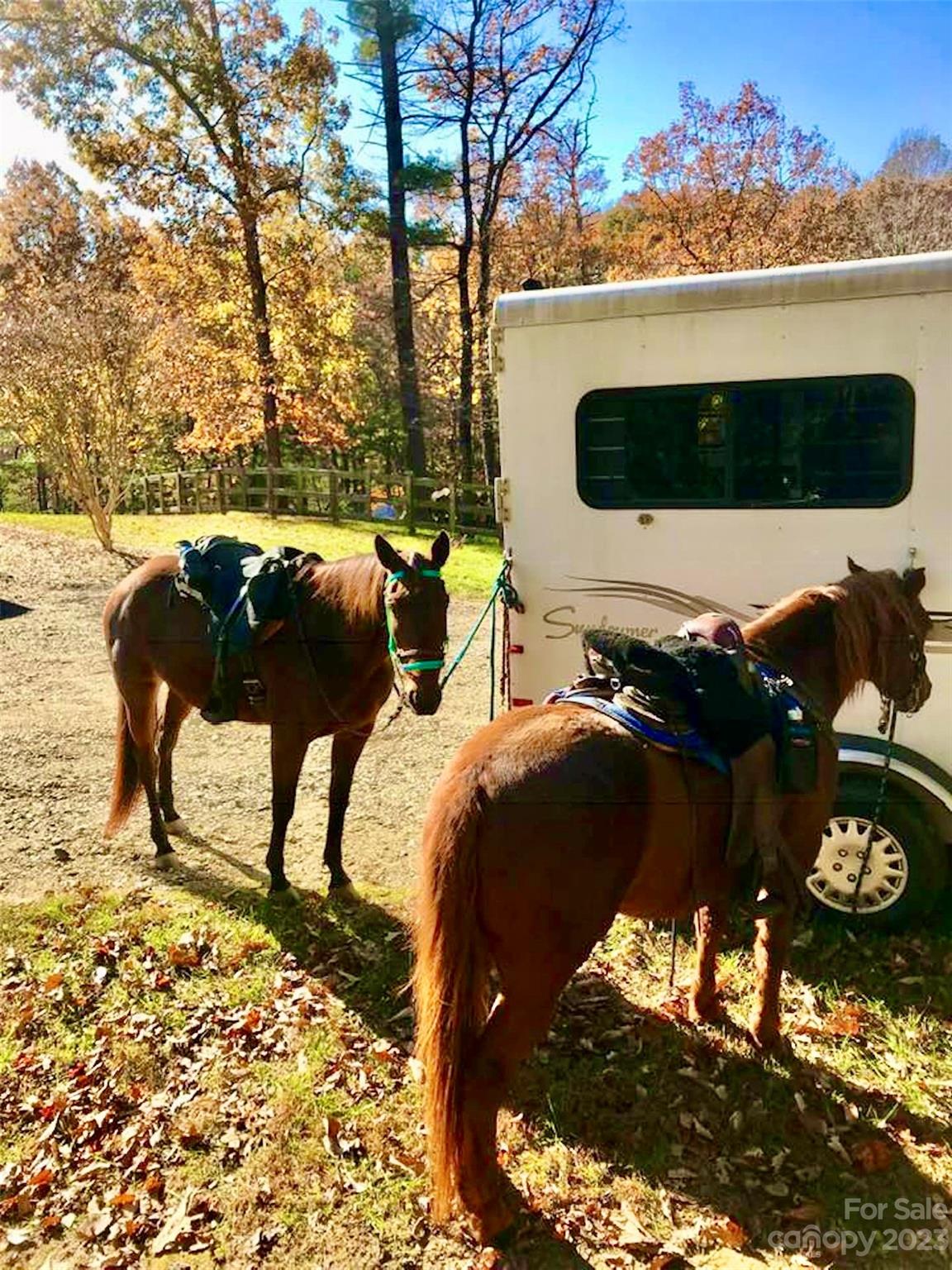 Mcgrady, NC Lot for Sale CAR4075510 Caruso Homes