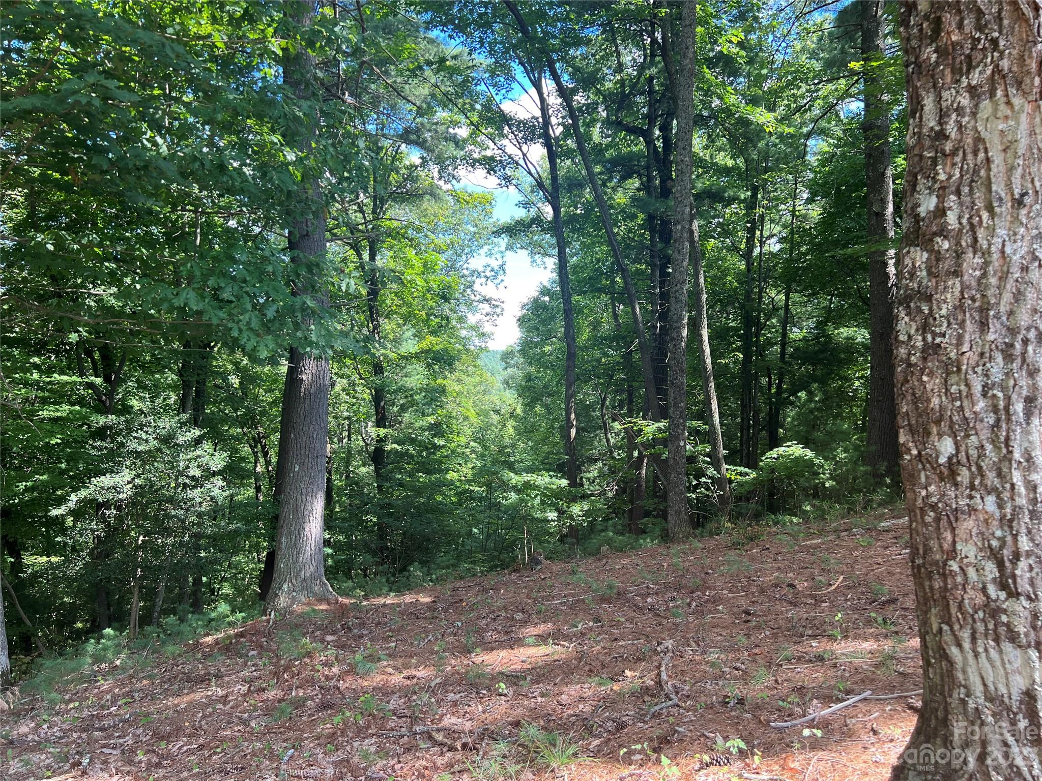 Mcgrady, NC Lot for Sale CAR4075510 Caruso Homes