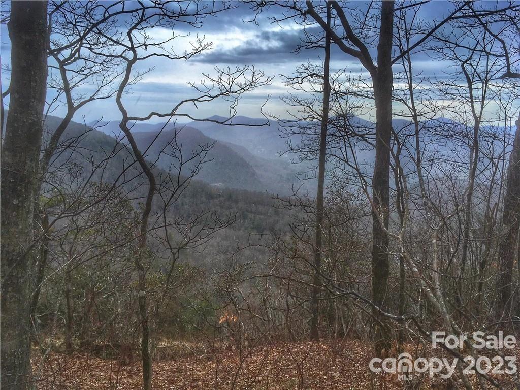 Weaverville, NC Lot for Sale CAR4075960 Caruso Homes