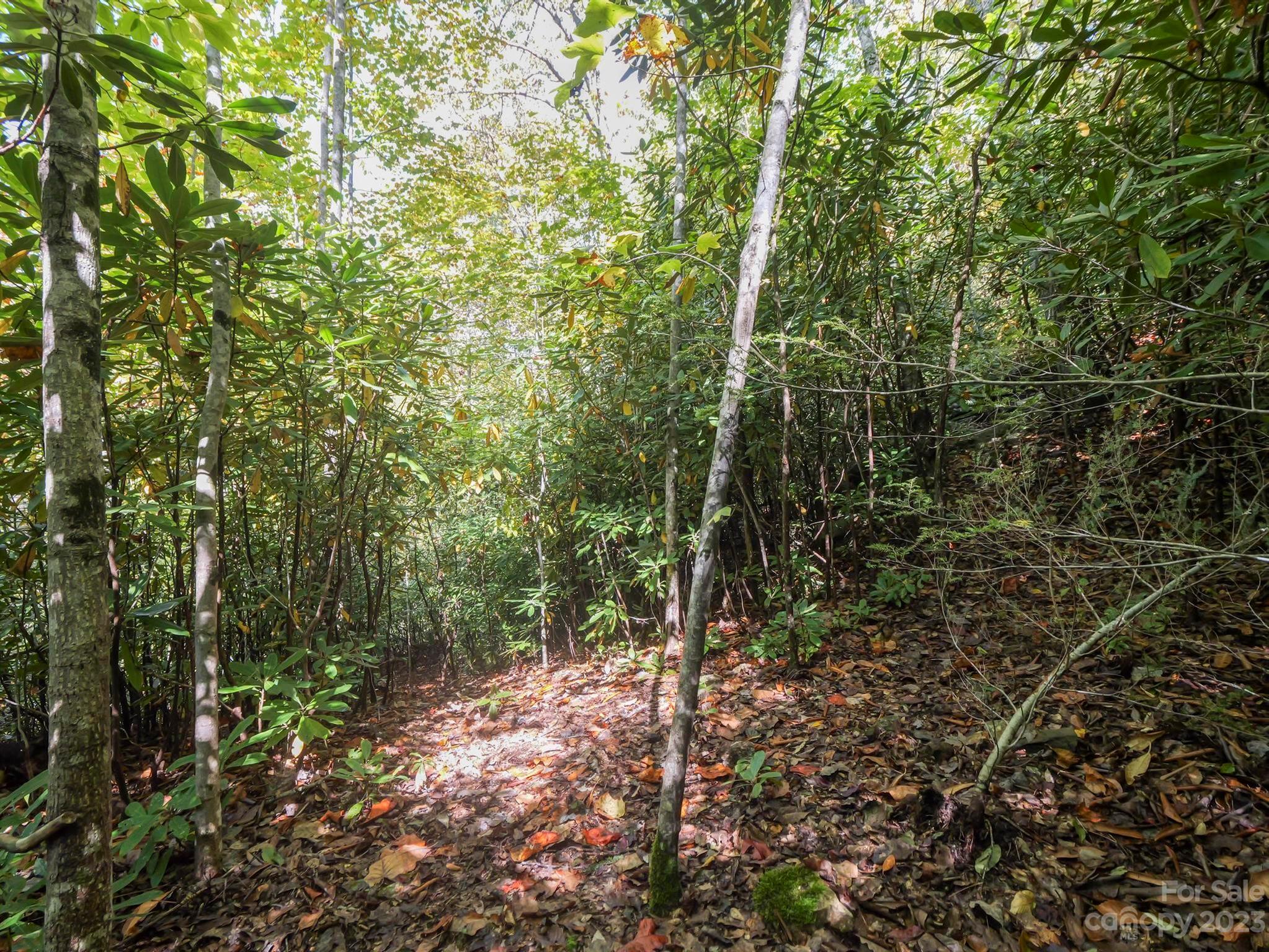 Montreat, NC Lot for Sale CAR4077105 Caruso Homes