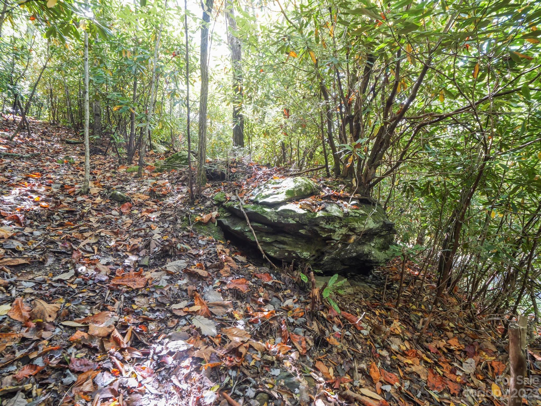 Montreat, NC Lot for Sale CAR4077105 Caruso Homes