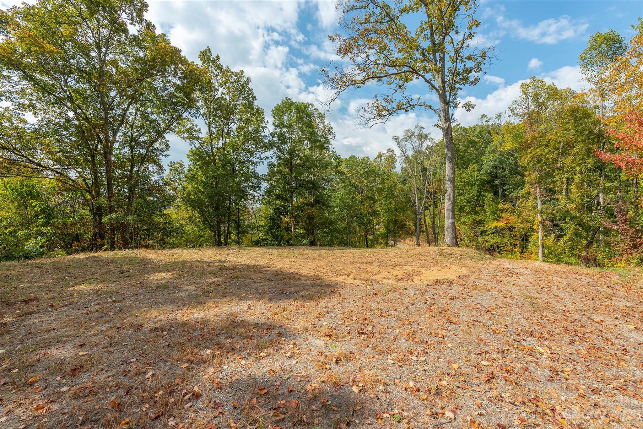 Weaverville, NC Lot for Sale CAR4077456 Caruso Homes