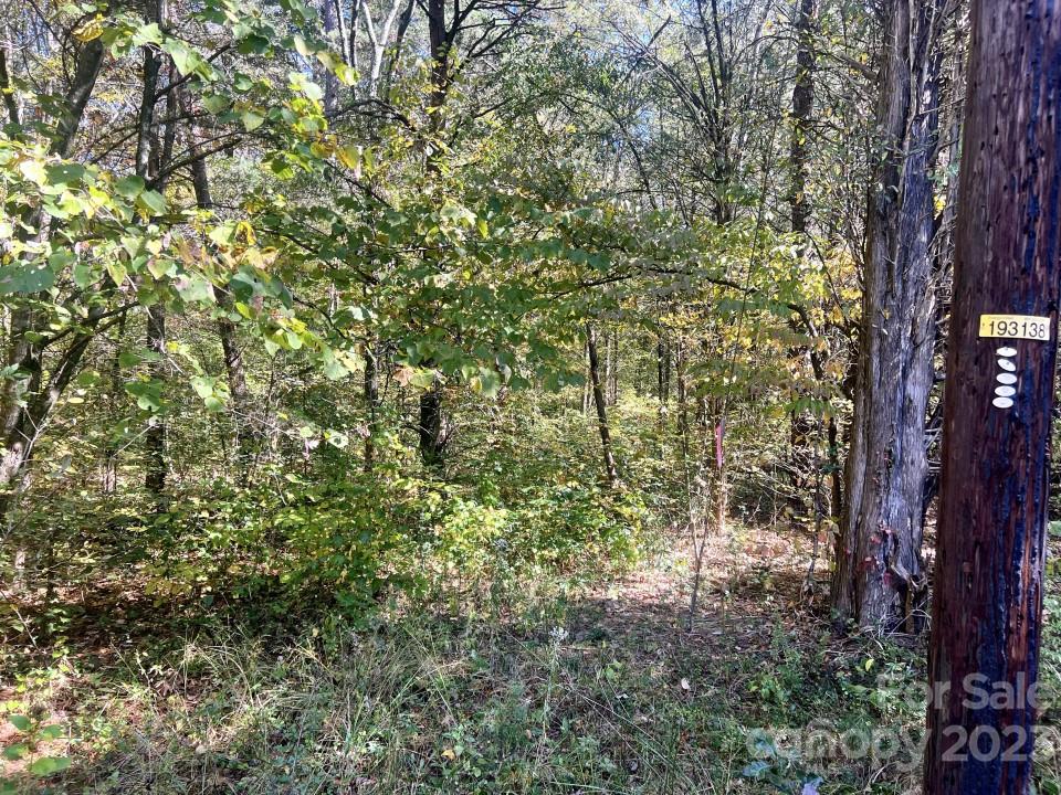 Woodleaf, NC Lot for Sale CAR4078949 Caruso Homes