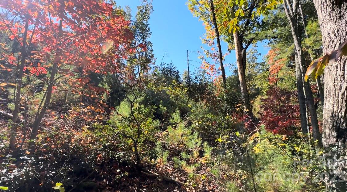 Casar, NC Lot for Sale CAR4079090 Caruso Homes