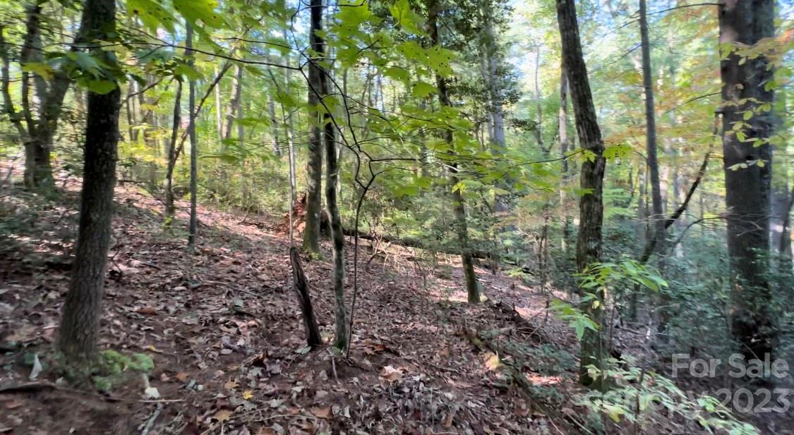 Casar, NC Lot for Sale CAR4079090 Caruso Homes