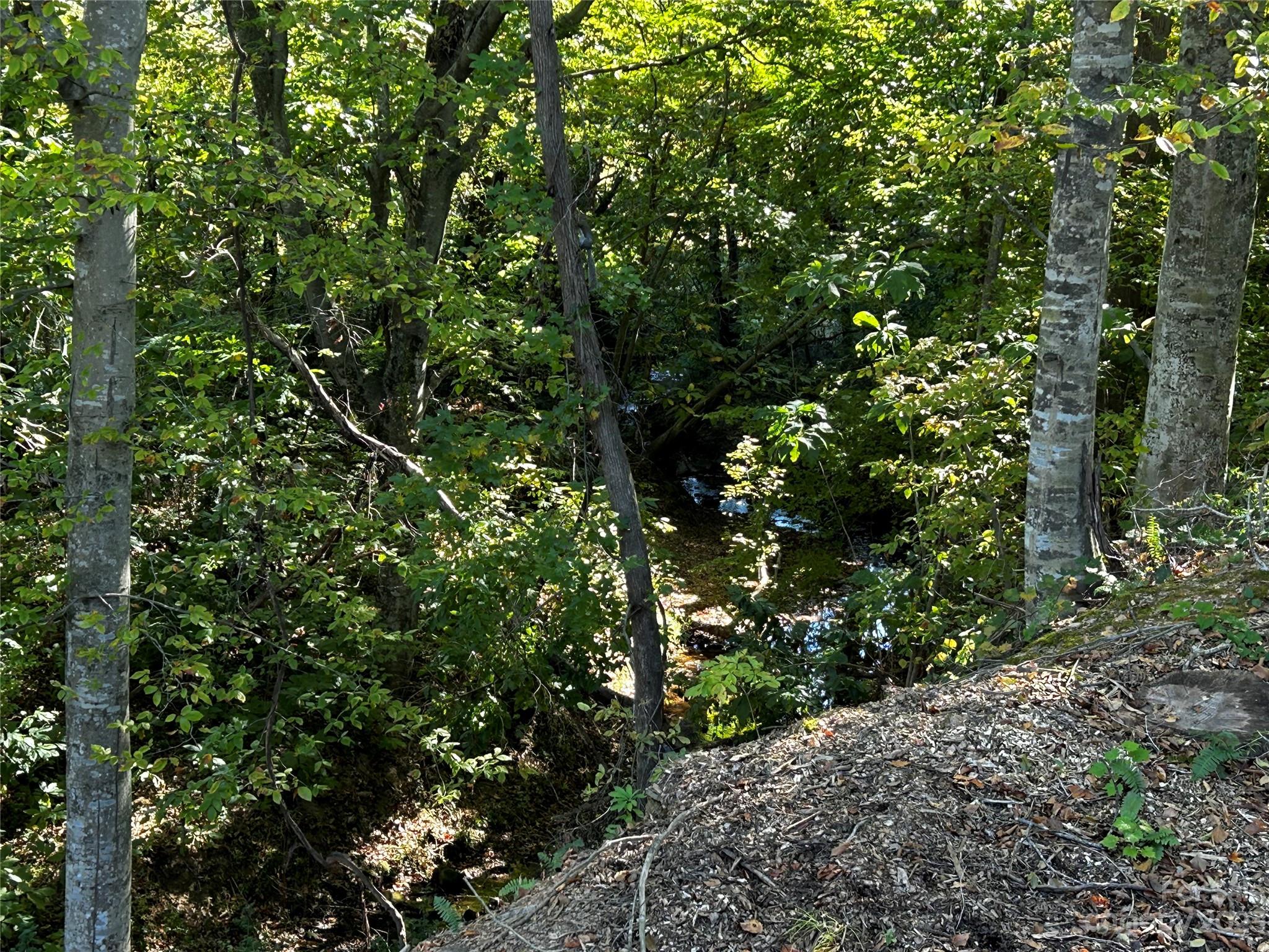 Stanley, NC Lot for Sale CAR4079449 Caruso Homes