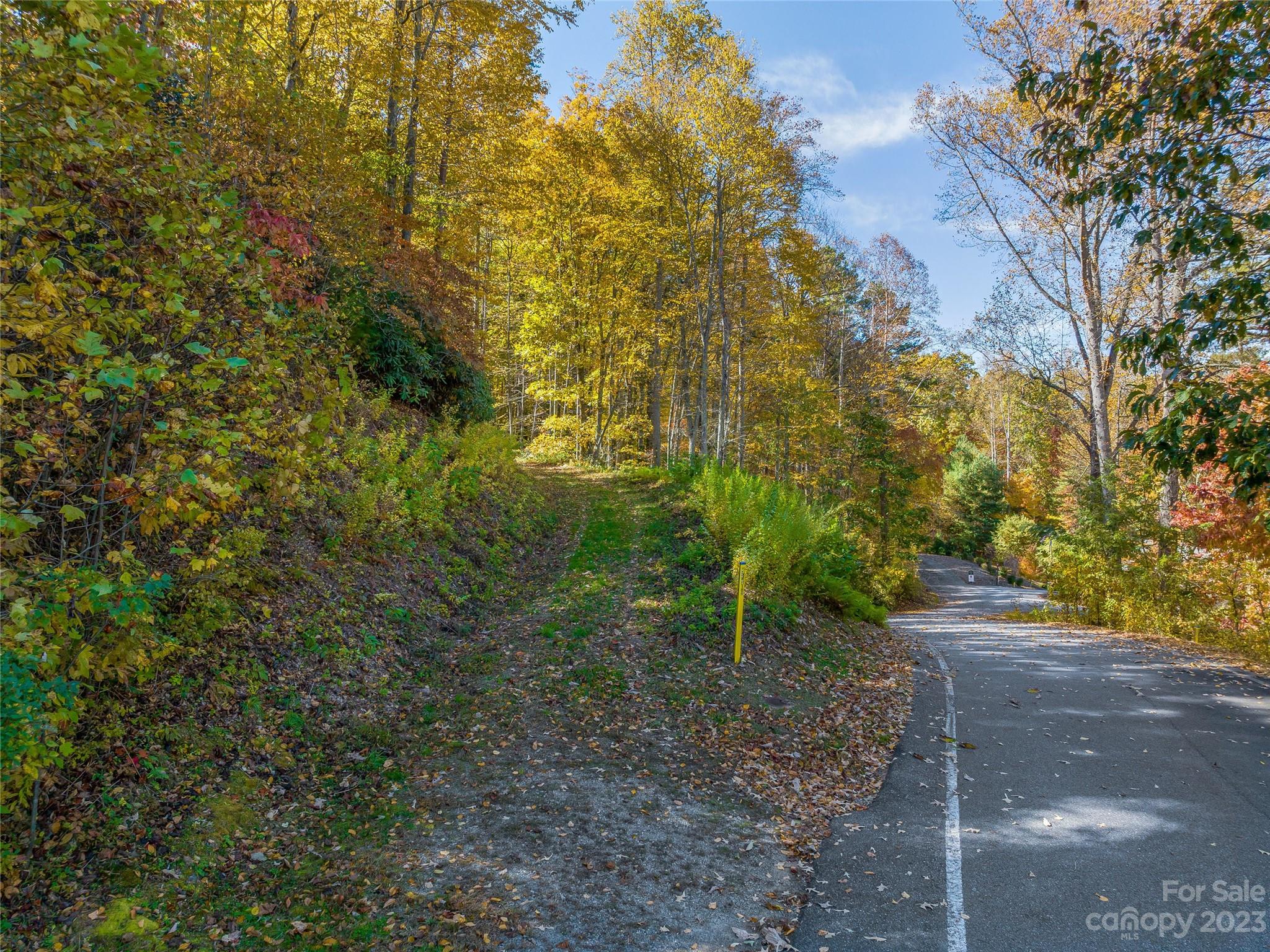 Arden, NC Lot for Sale CAR4081464 Caruso Homes