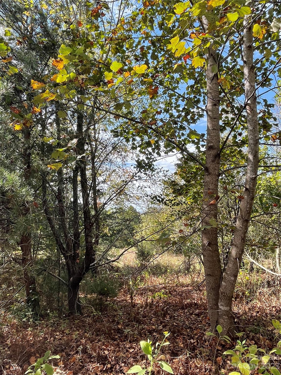 Rutherfordton, NC Lot for Sale CAR4082208 Caruso Homes