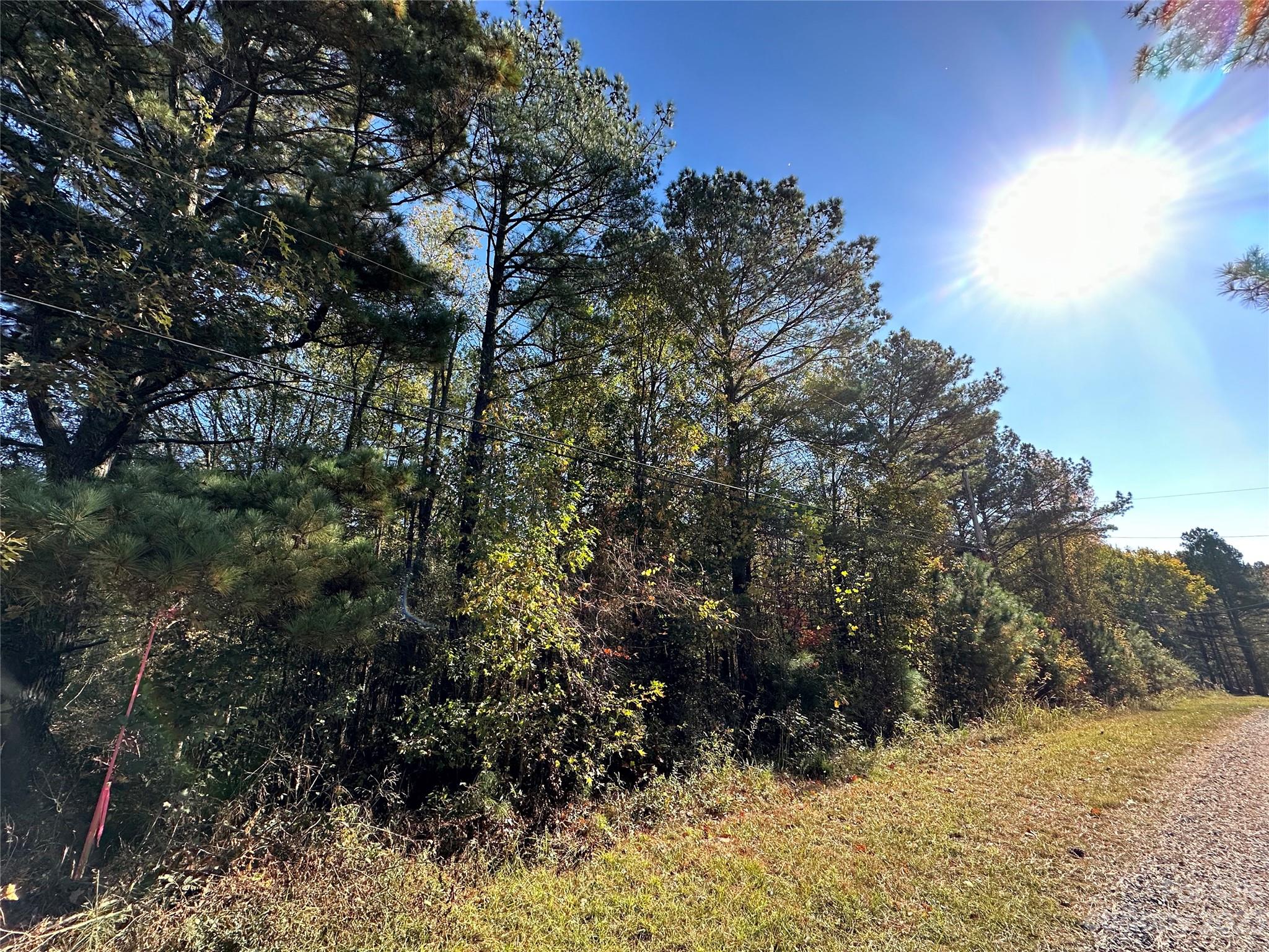 Albemarle, NC Lot for Sale CAR4084060 Caruso Homes