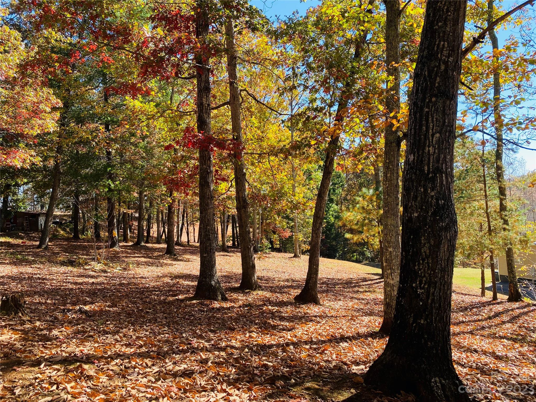 NC Lot for Sale CAR4084625 Caruso Homes