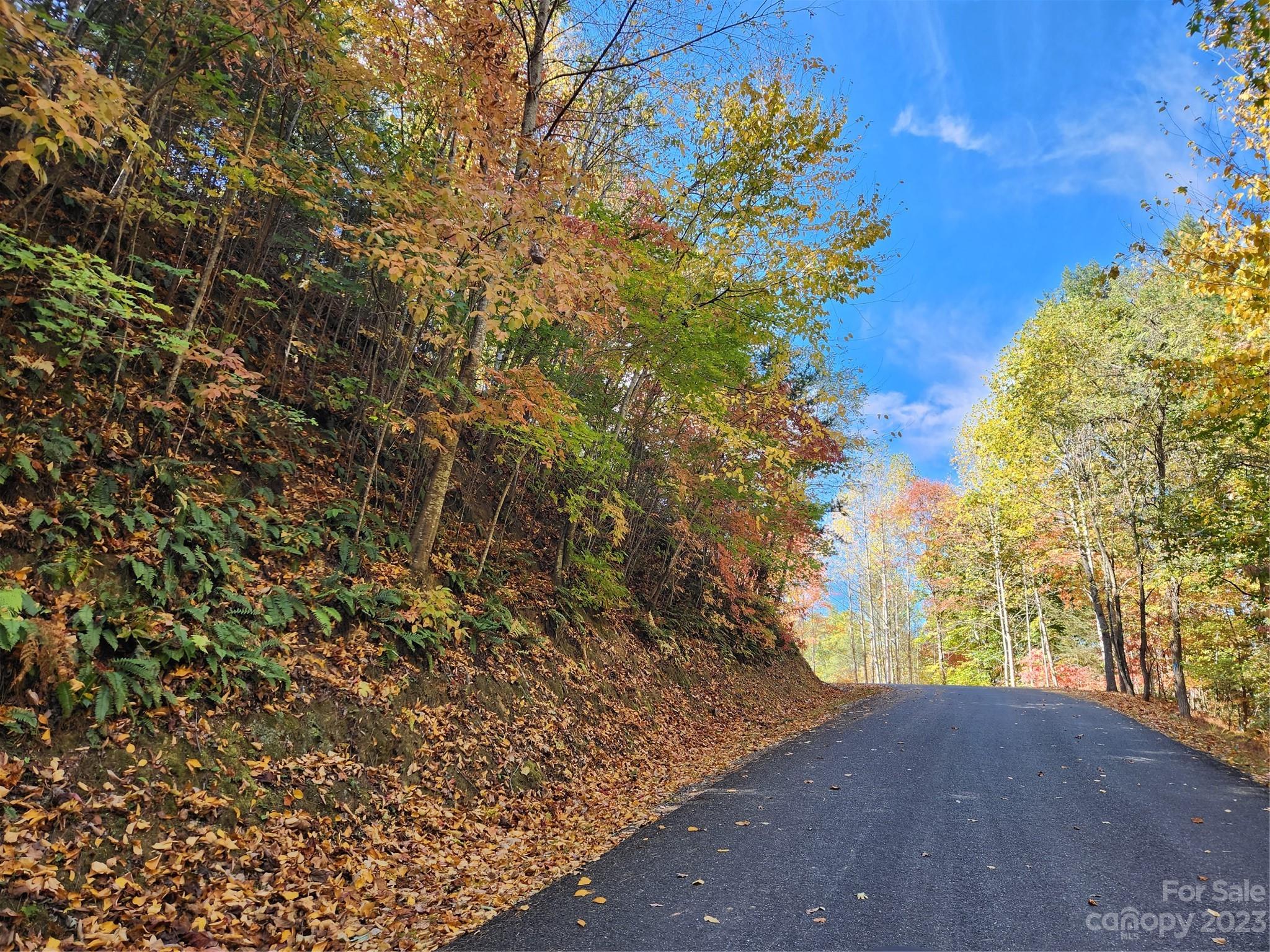 Nebo, NC Lot for Sale CAR4086187 Caruso Homes