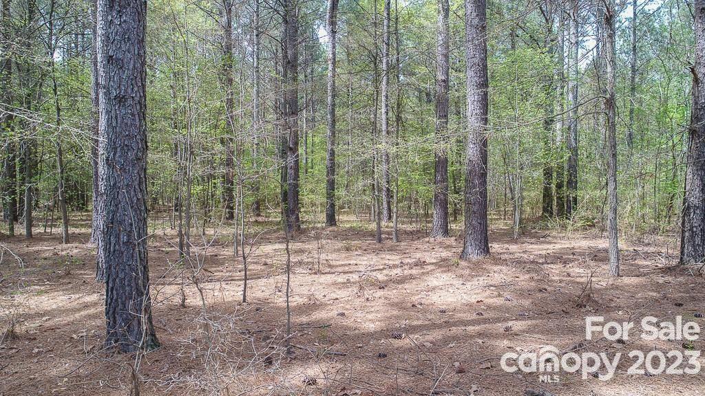 Marshville, NC Lot for Sale CAR4086248 Caruso Homes