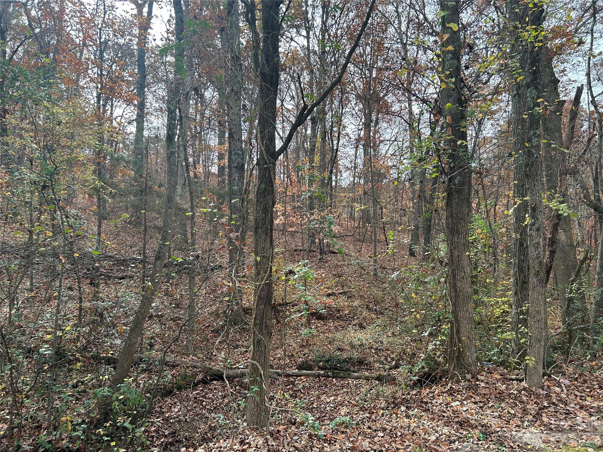 Stanfield, NC Lot for Sale CAR4088671 Caruso Homes