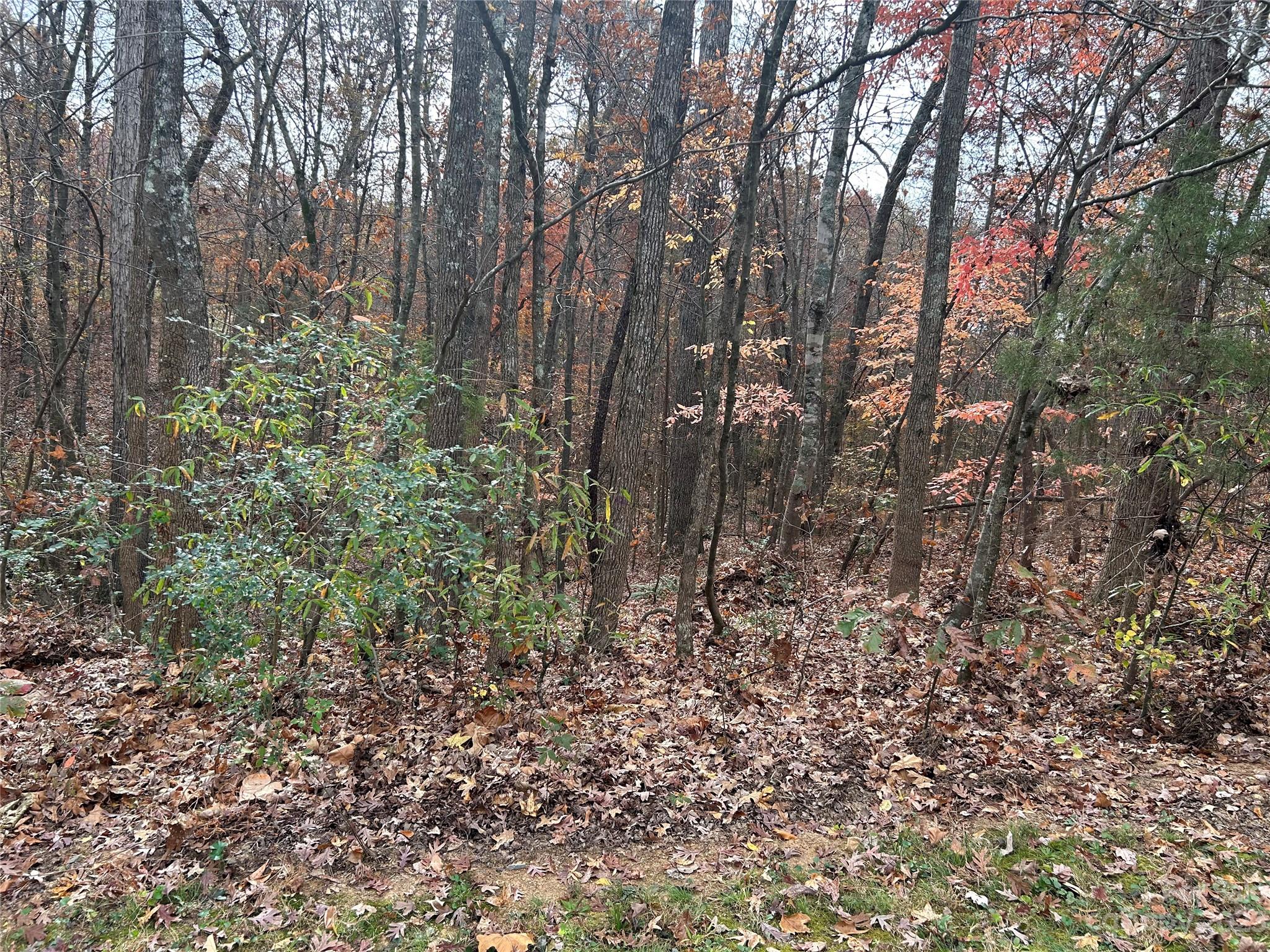 Stanfield, NC Lot for Sale CAR4088671 Caruso Homes