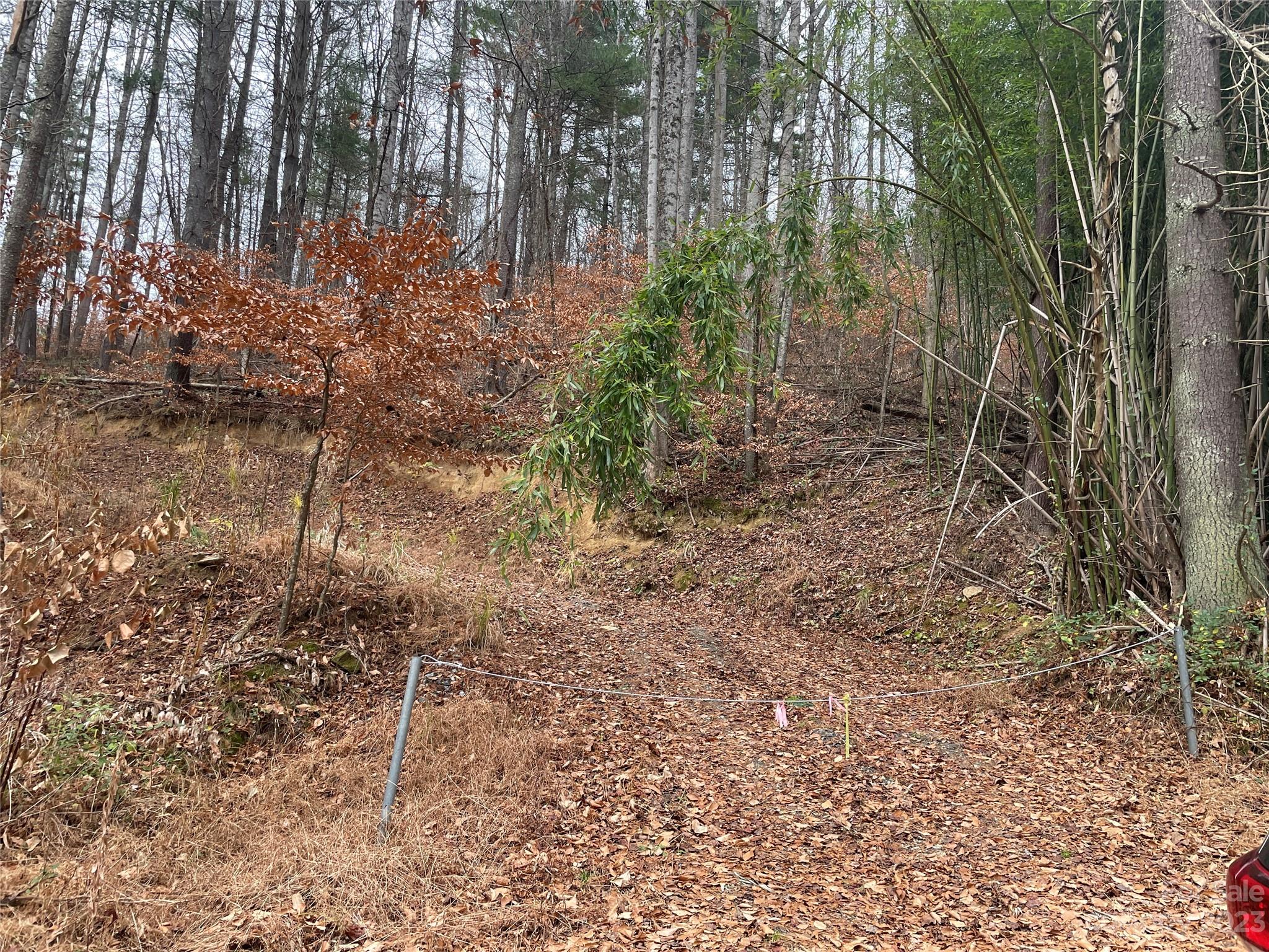 Weaverville, NC Lot for Sale CAR4090617 Caruso Homes