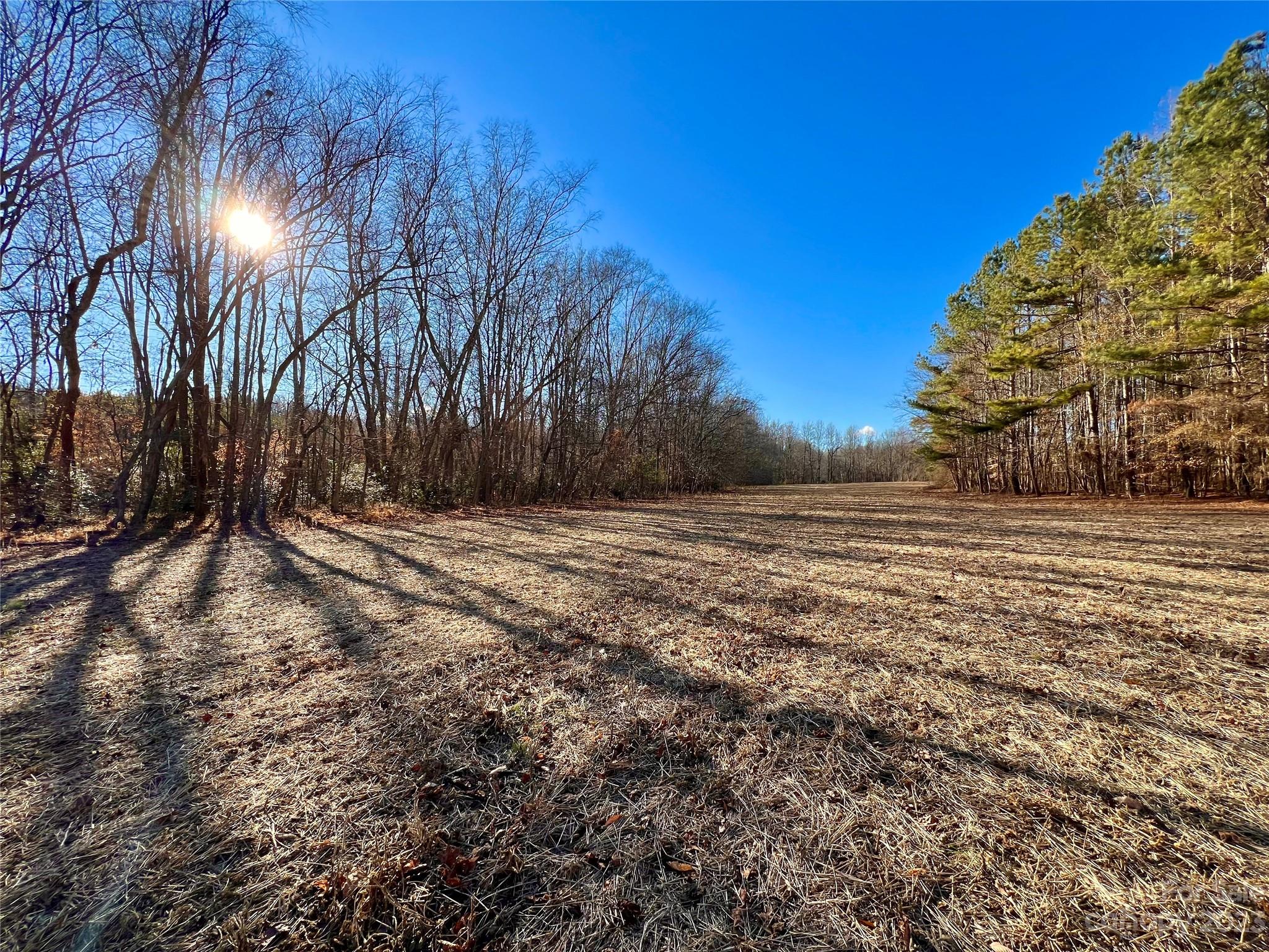 Olin, NC Lot for Sale CAR4092569 Caruso Homes