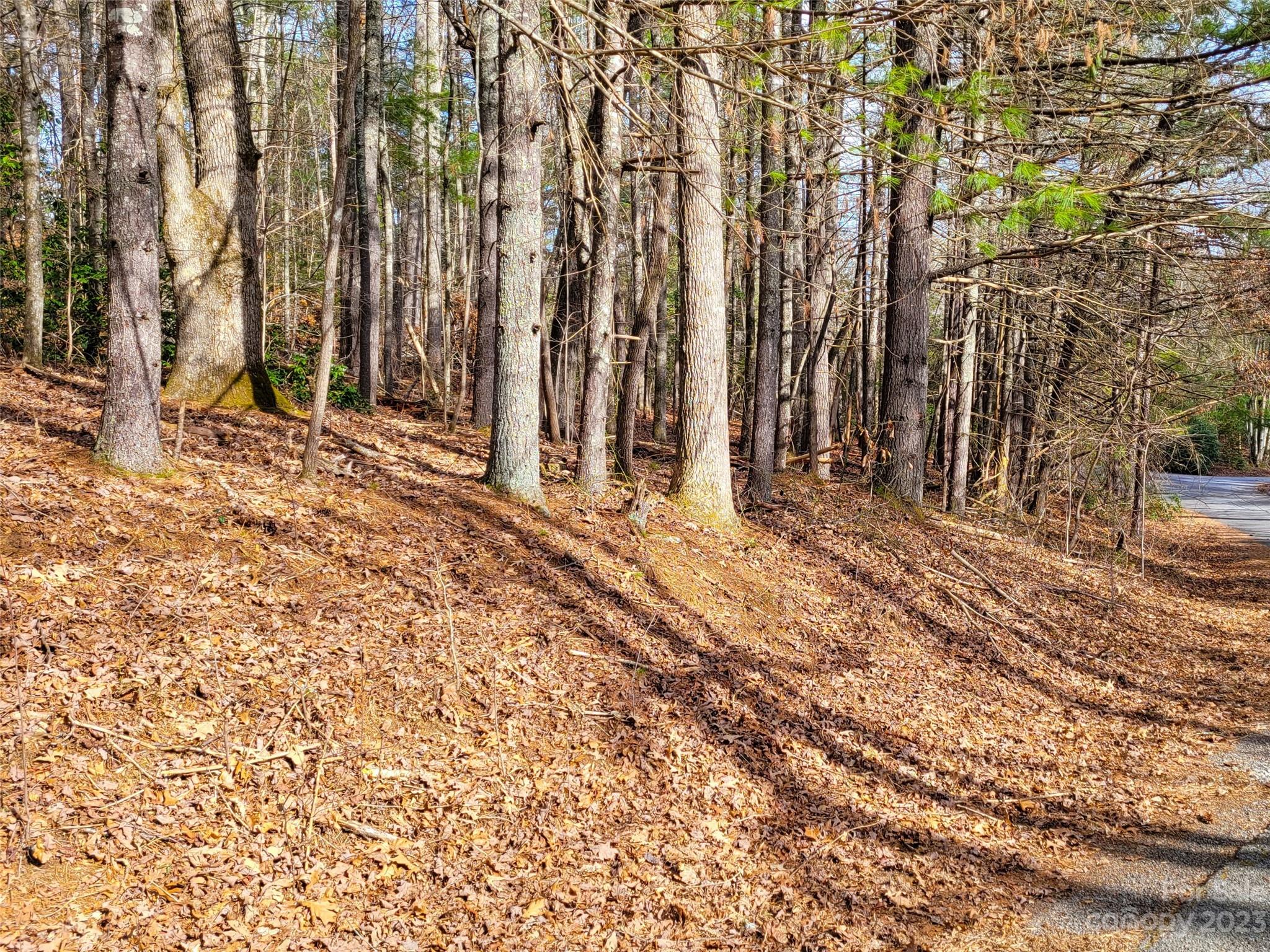 Hendersonville, NC Lot for Sale CAR4093431 Caruso Homes