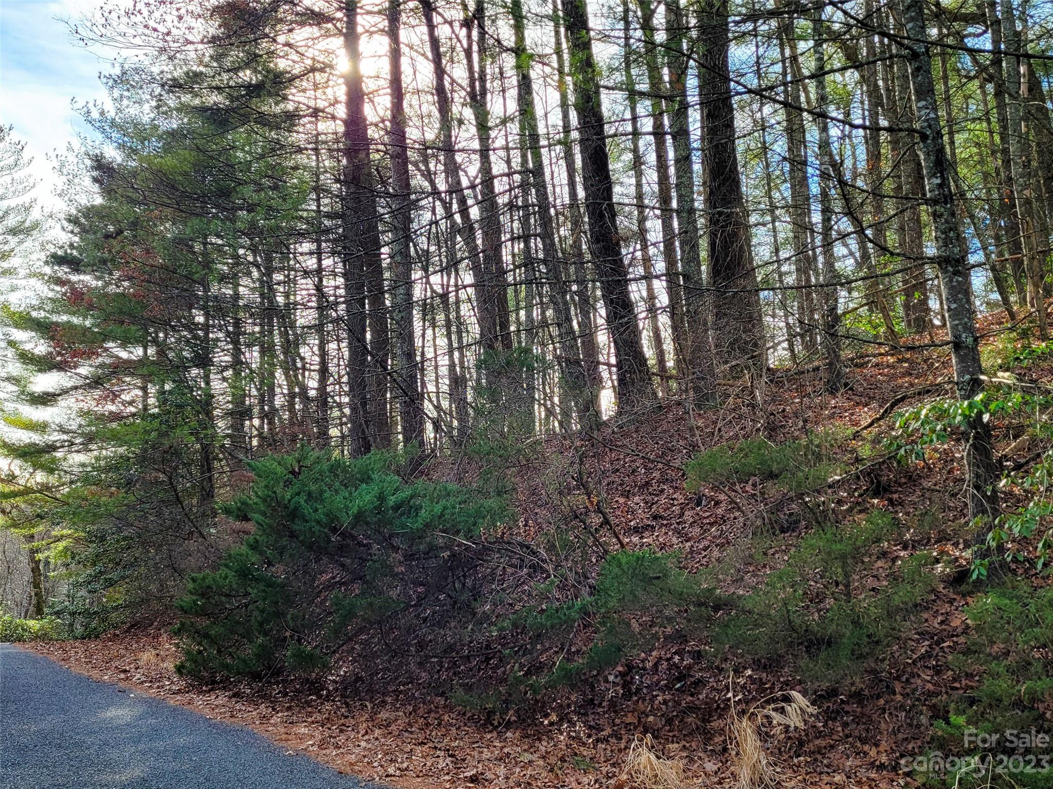 Hendersonville, NC Lot for Sale CAR4093431 Caruso Homes