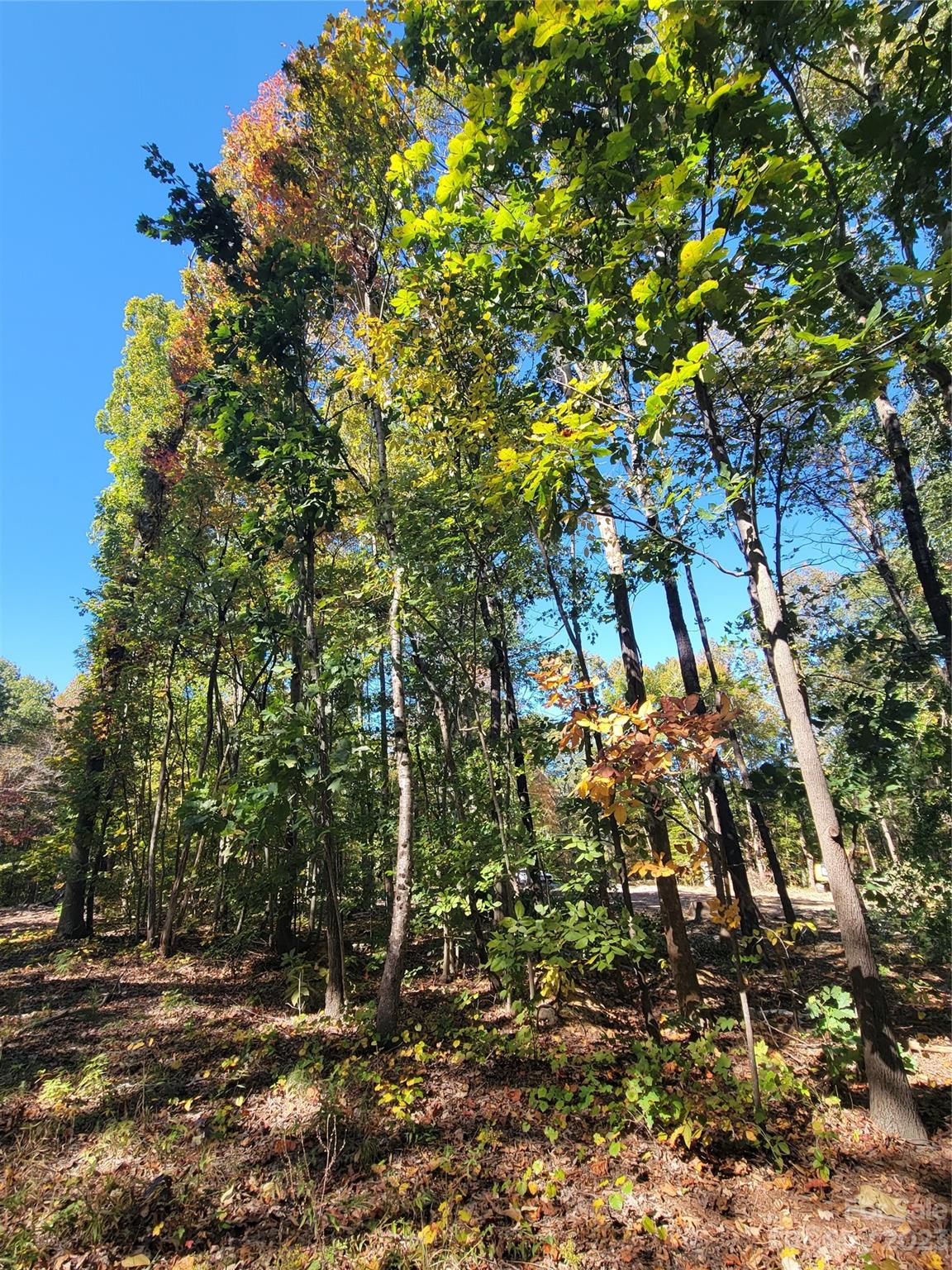 Indian Trail, NC Lot for Sale CAR4093639 Caruso Homes