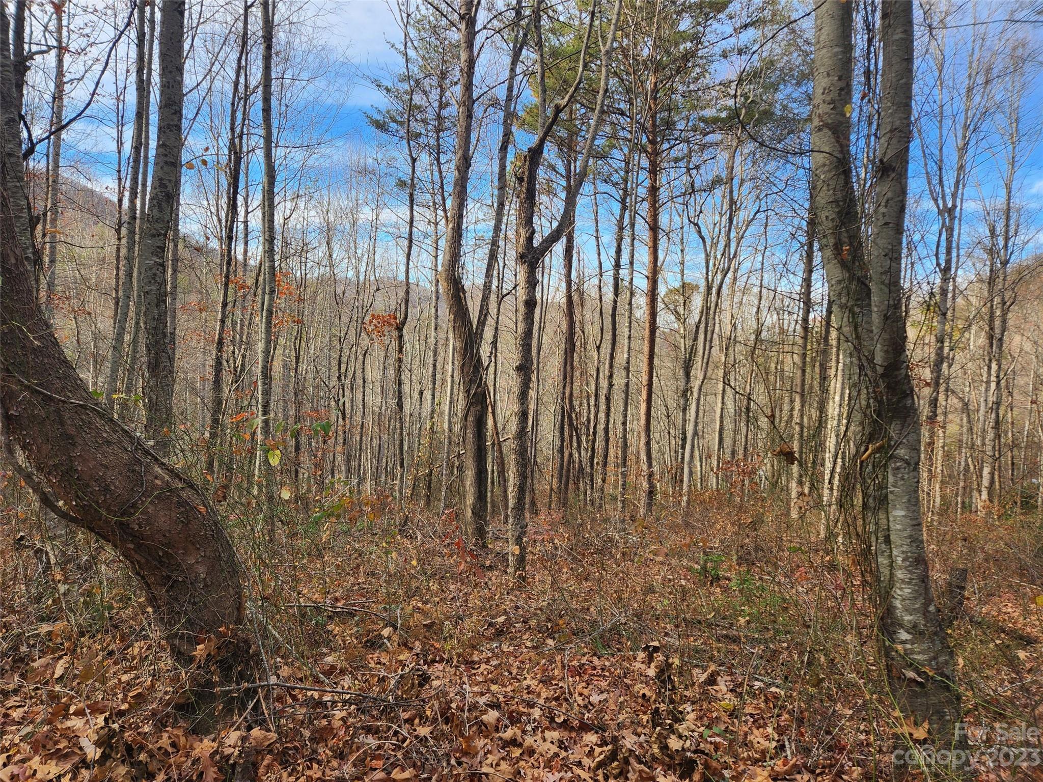 Canton, NC Lot for Sale CAR4095715 Caruso Homes