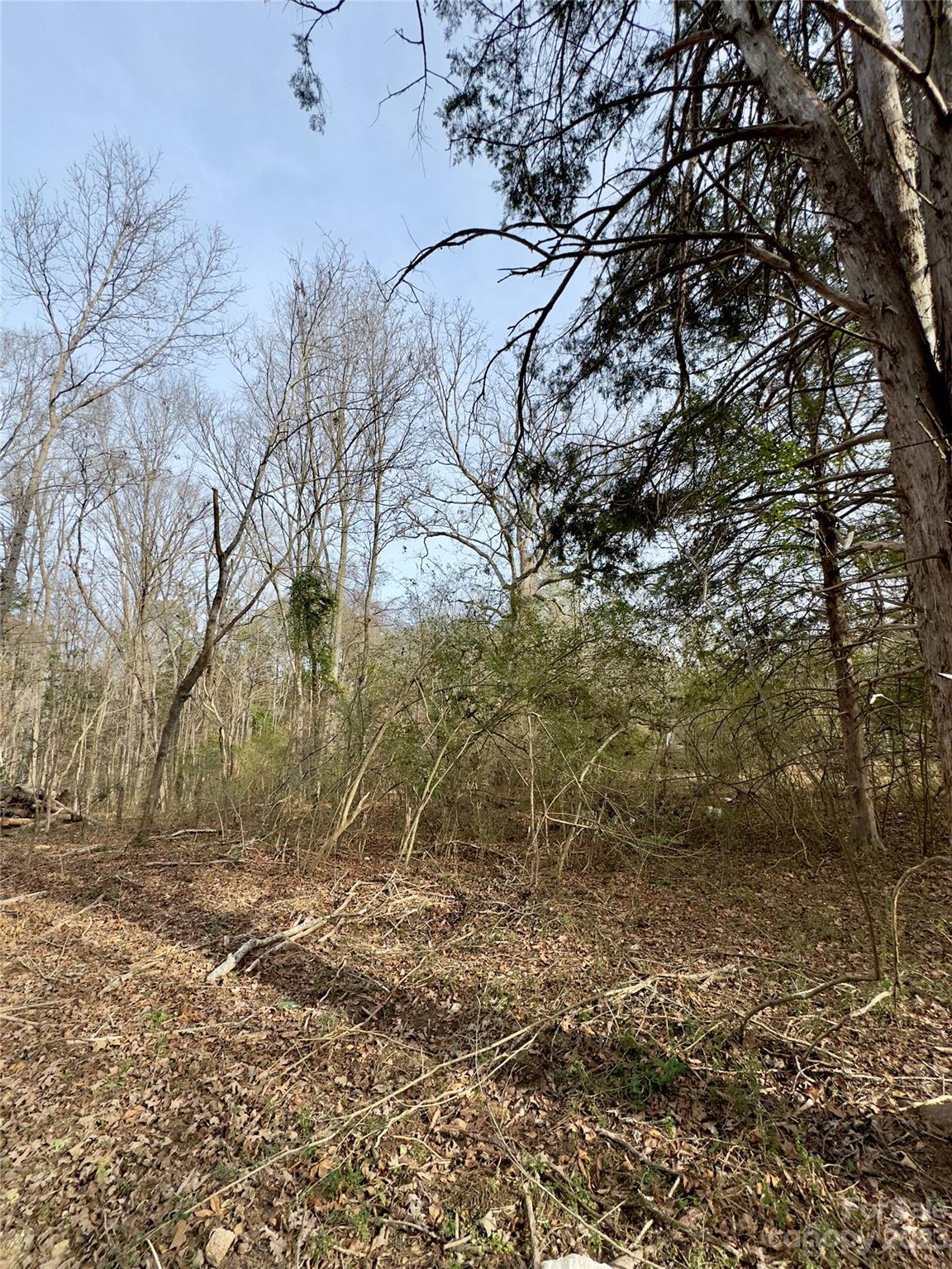 Edgemoor, SC Lot for Sale CAR4097550 Caruso Homes