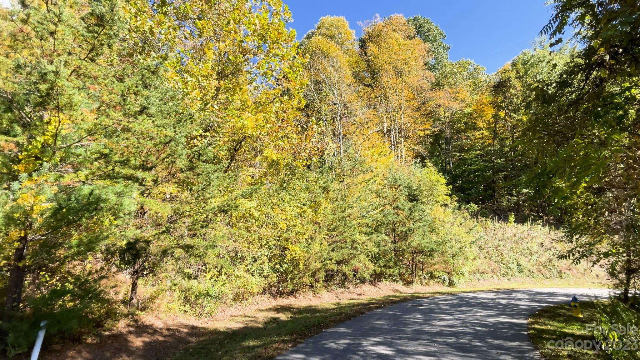 Weaverville, NC Lot for Sale CAR4098558 Caruso Homes