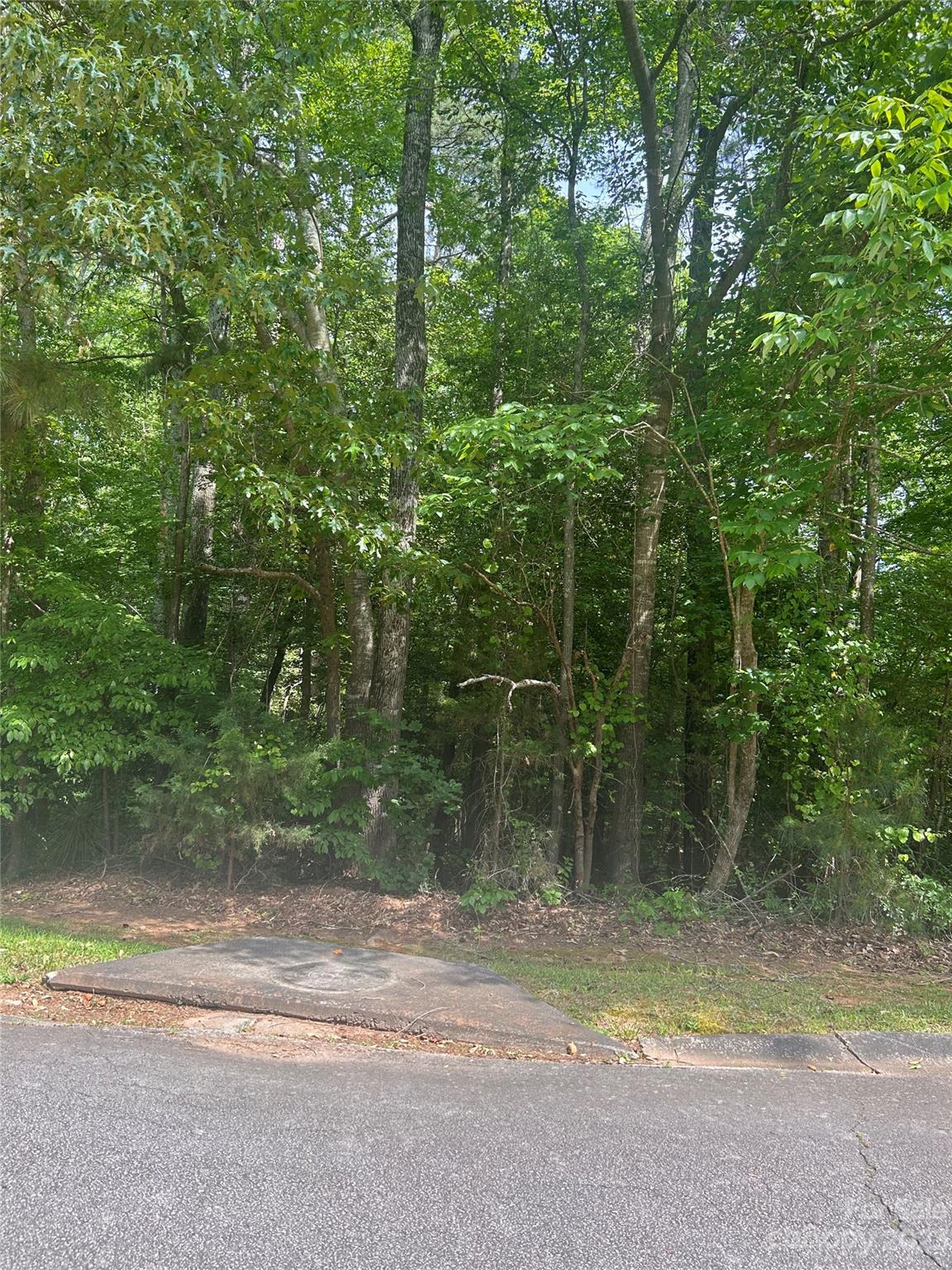 Winnsboro, SC Lot for Sale CAR4100057 Caruso Homes