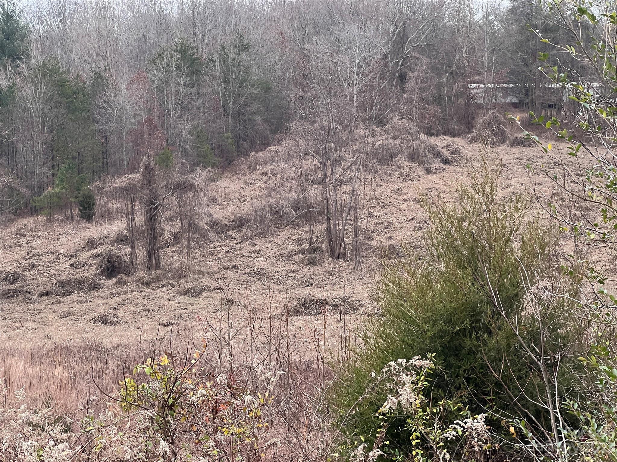 Casar, NC Lot for Sale CAR4101713 Caruso Homes