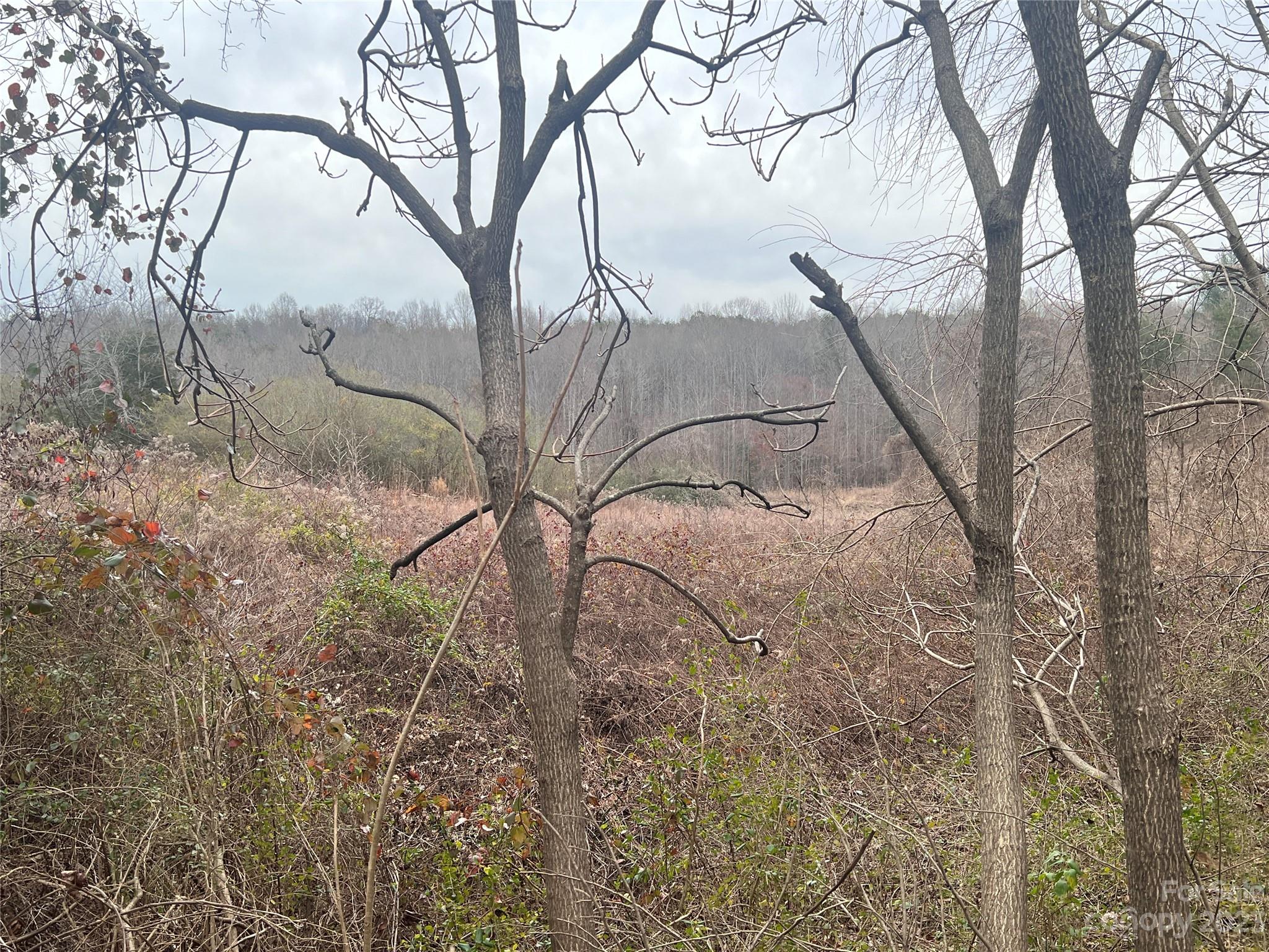 Casar, NC Lot for Sale CAR4101713 Caruso Homes