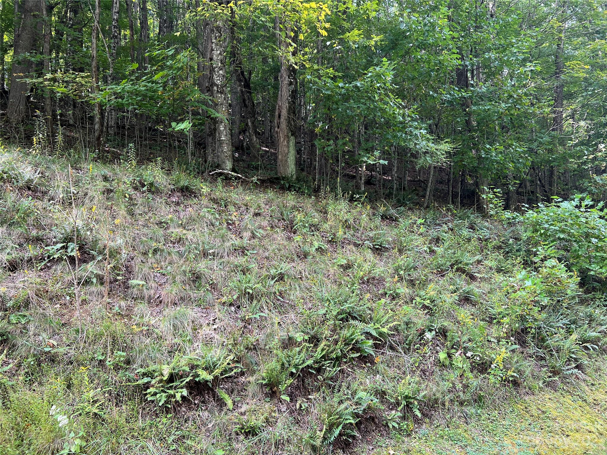 Zionville, NC Lot for Sale CAR4102453 Caruso Homes