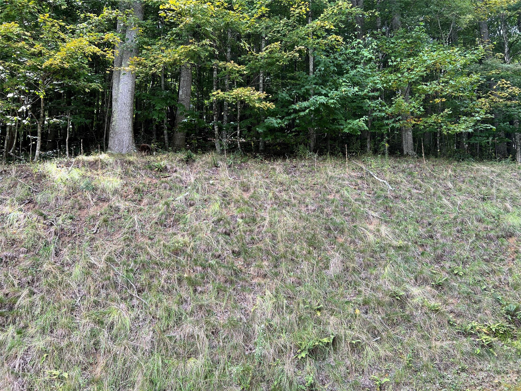 Zionville, NC Lot for Sale CAR4102453 Caruso Homes