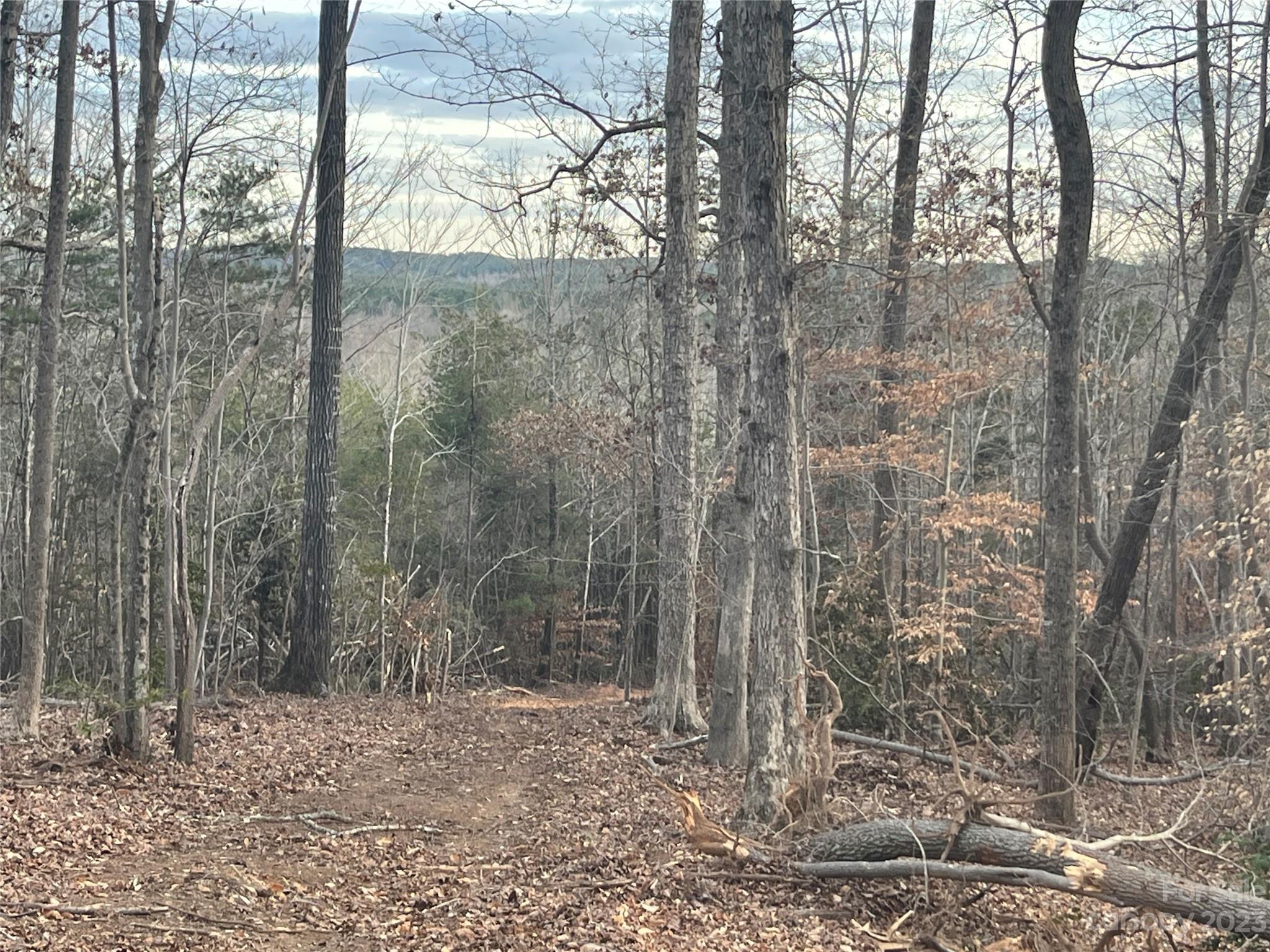 Tryon, NC Lot for Sale CAR4103424 Caruso Homes