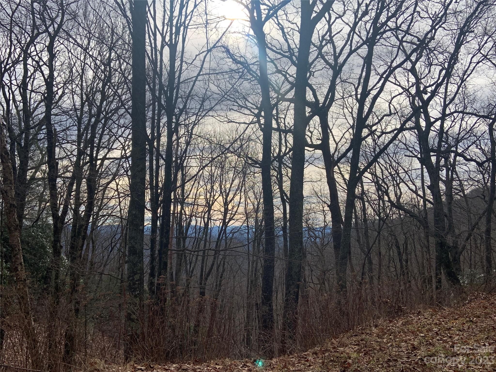 Sylva, NC Lot for Sale CAR4104557 Caruso Homes