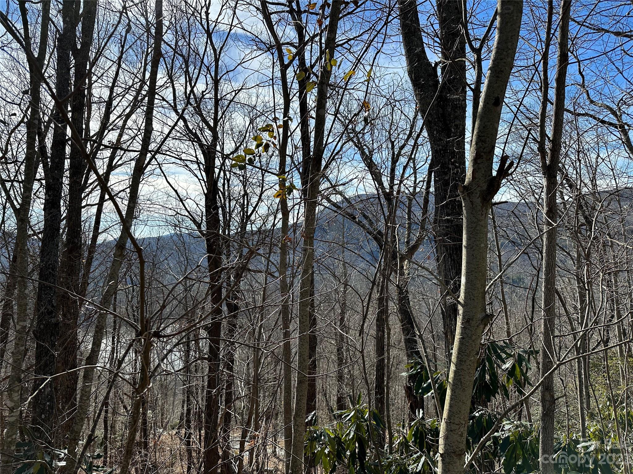 Lake Toxaway, NC Lot for Sale CAR4105906 Caruso Homes