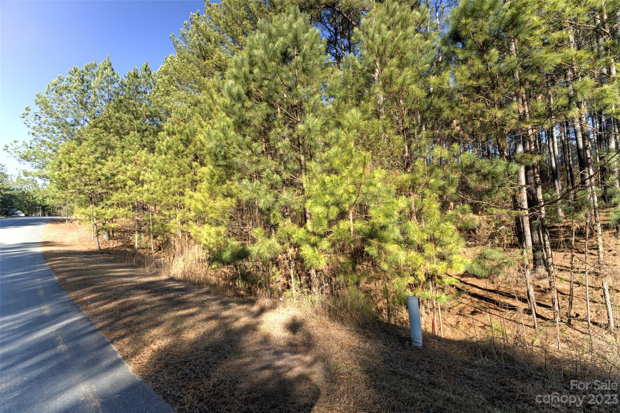 Granite Falls, NC Lot for Sale CAR4106694 Caruso Homes