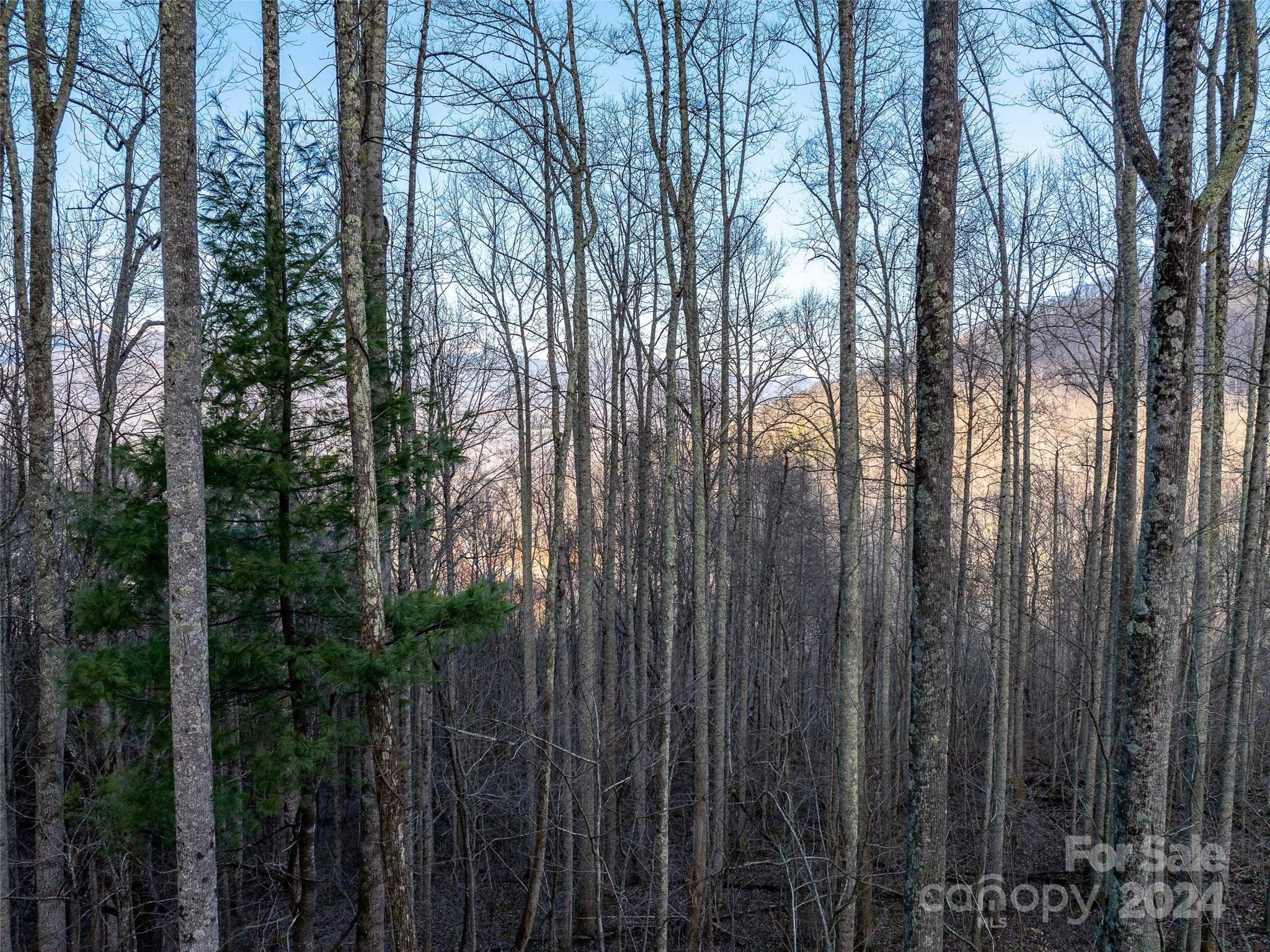 Swannanoa, NC Lot for Sale CAR4107148 Caruso Homes