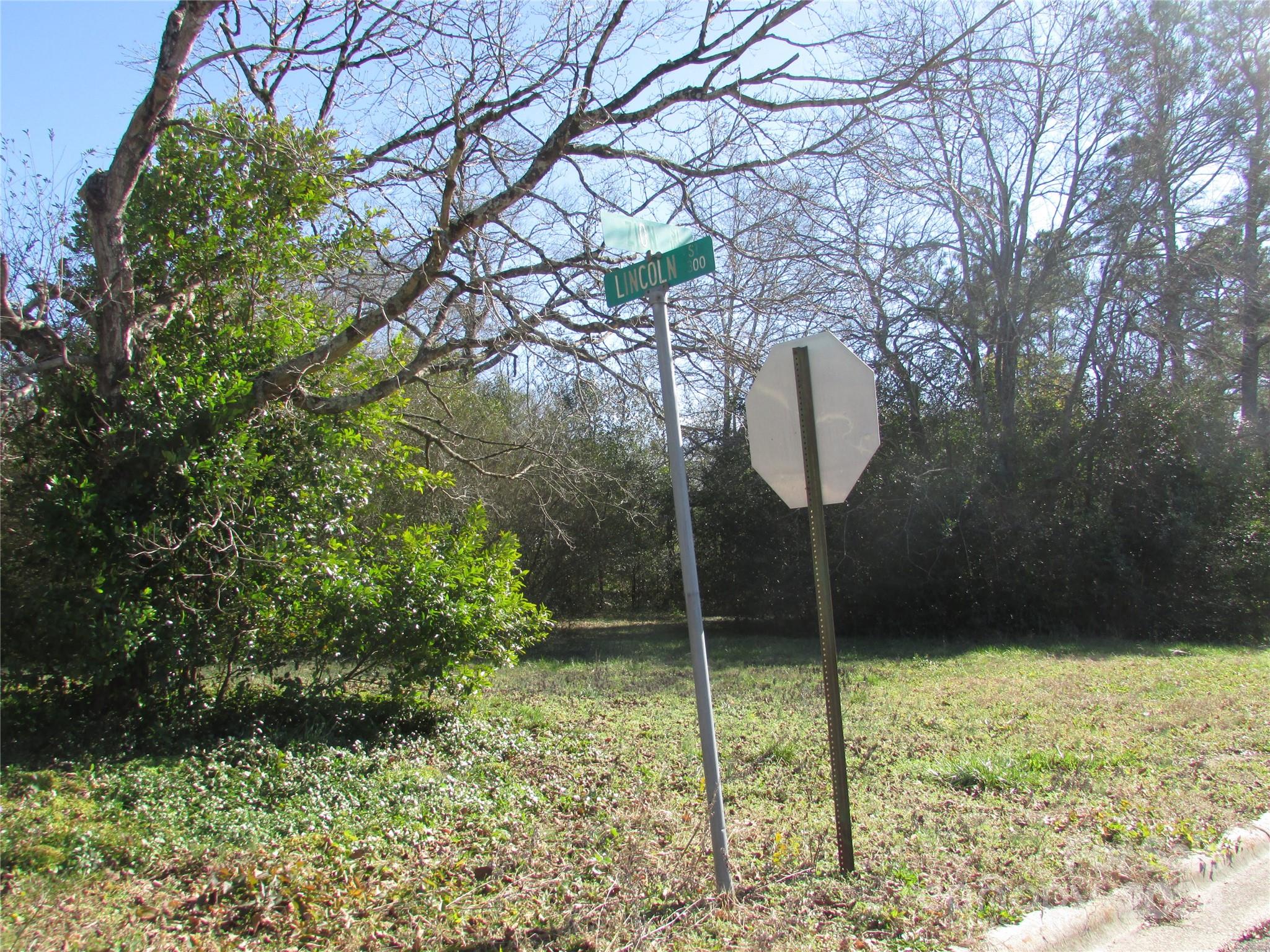 Laurinburg, NC Lot for Sale CAR4107204 Caruso Homes