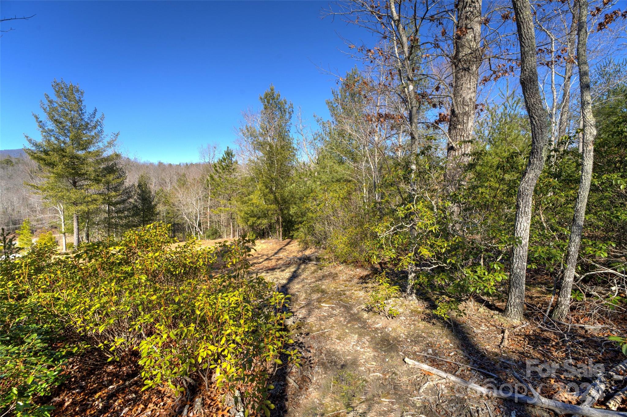 Nebo, NC Lot for Sale CAR4107432 Caruso Homes