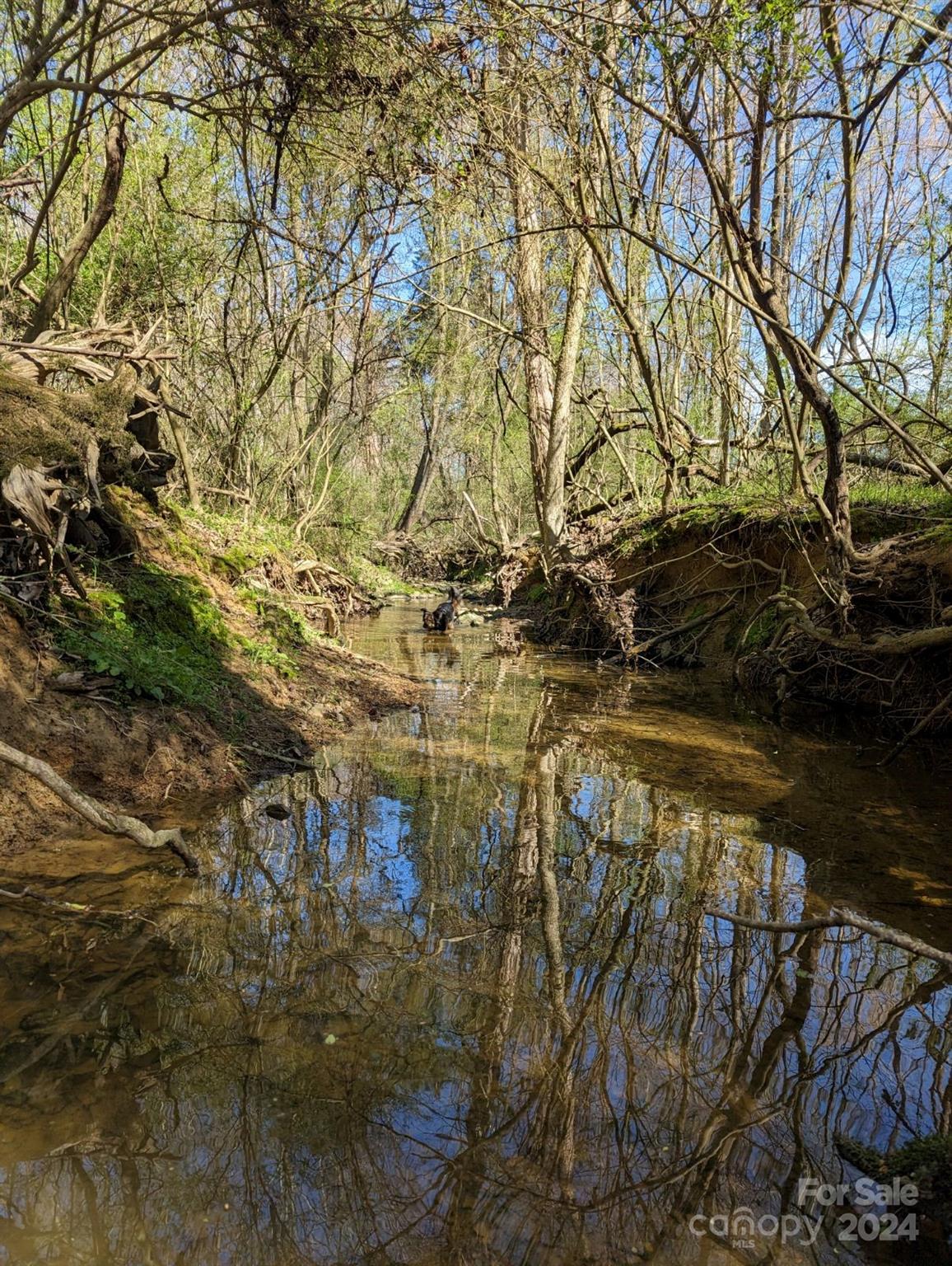 Marshville, NC Lot for Sale CAR4108390 Caruso Homes