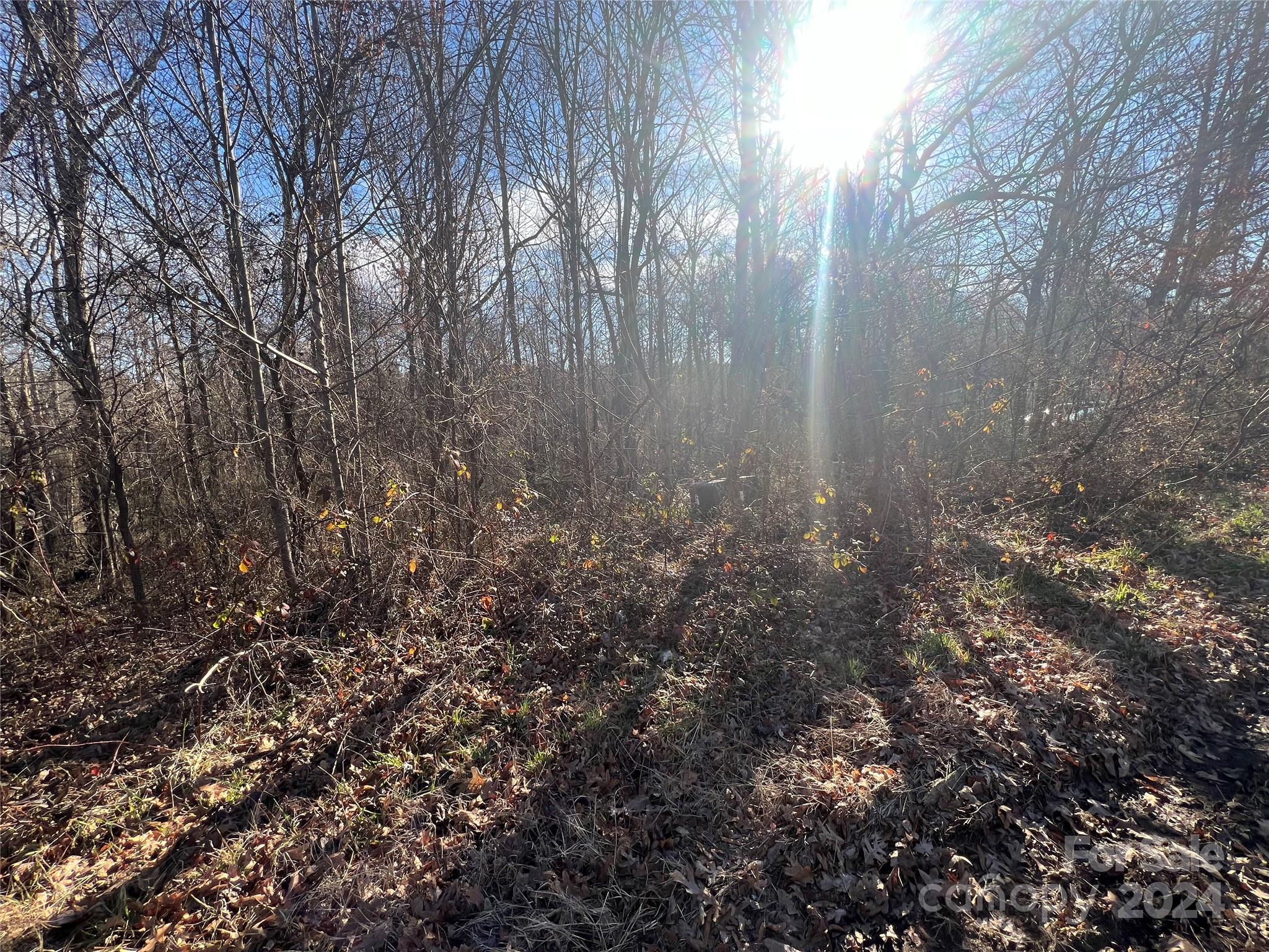 Statesville, NC Lot for Sale CAR4108402 Caruso Homes