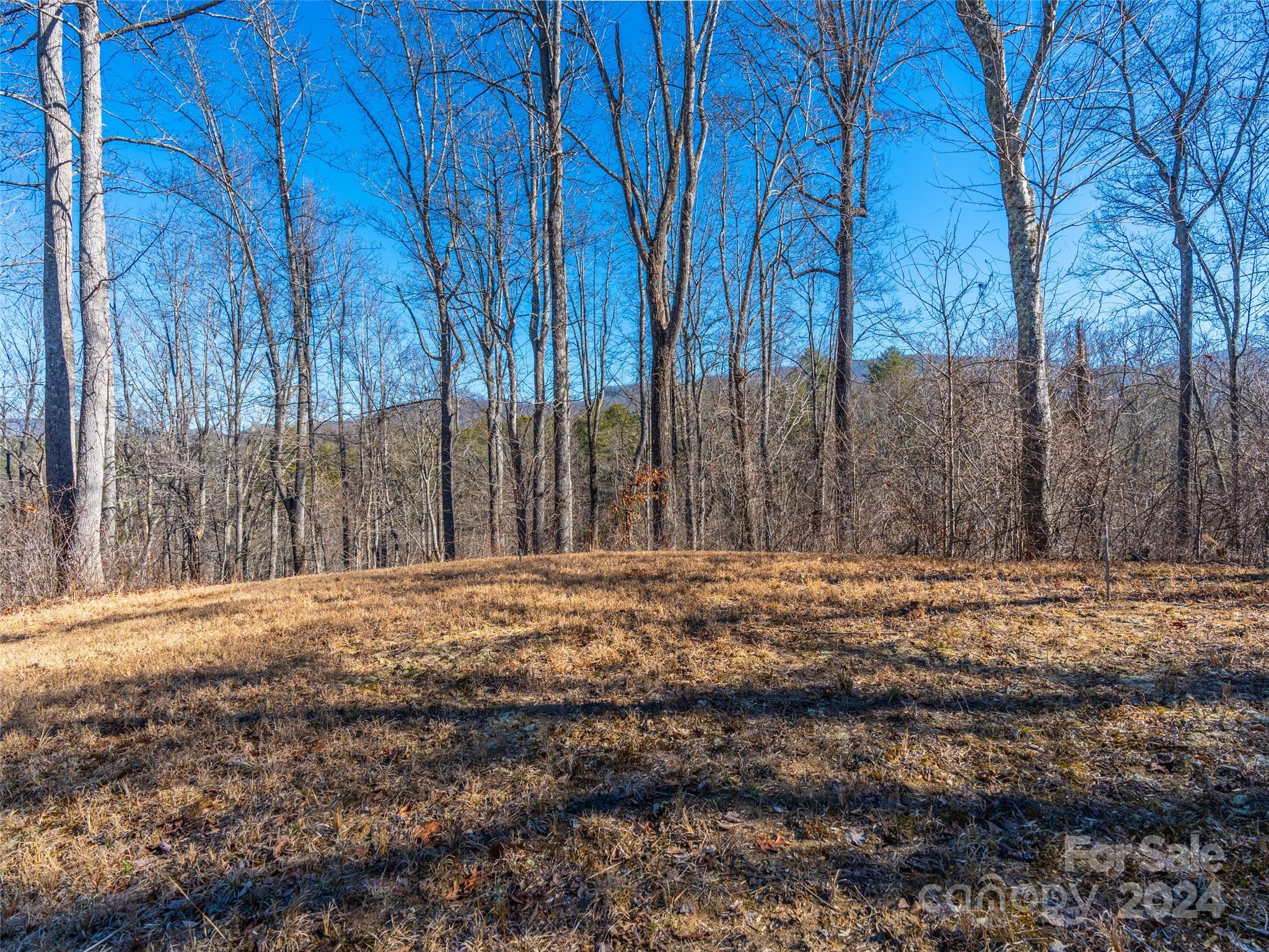 Fairview, NC Lot for Sale CAR4108716 Caruso Homes