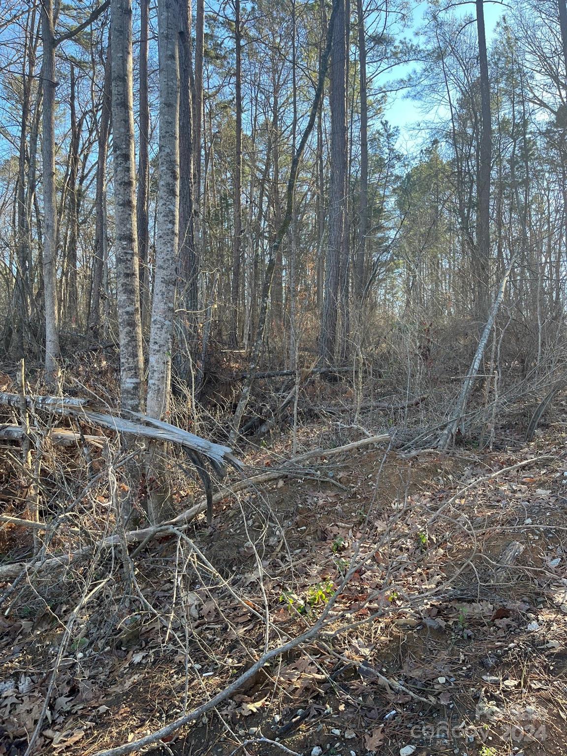 Huntersville, NC Lot for Sale CAR4109298 Caruso Homes