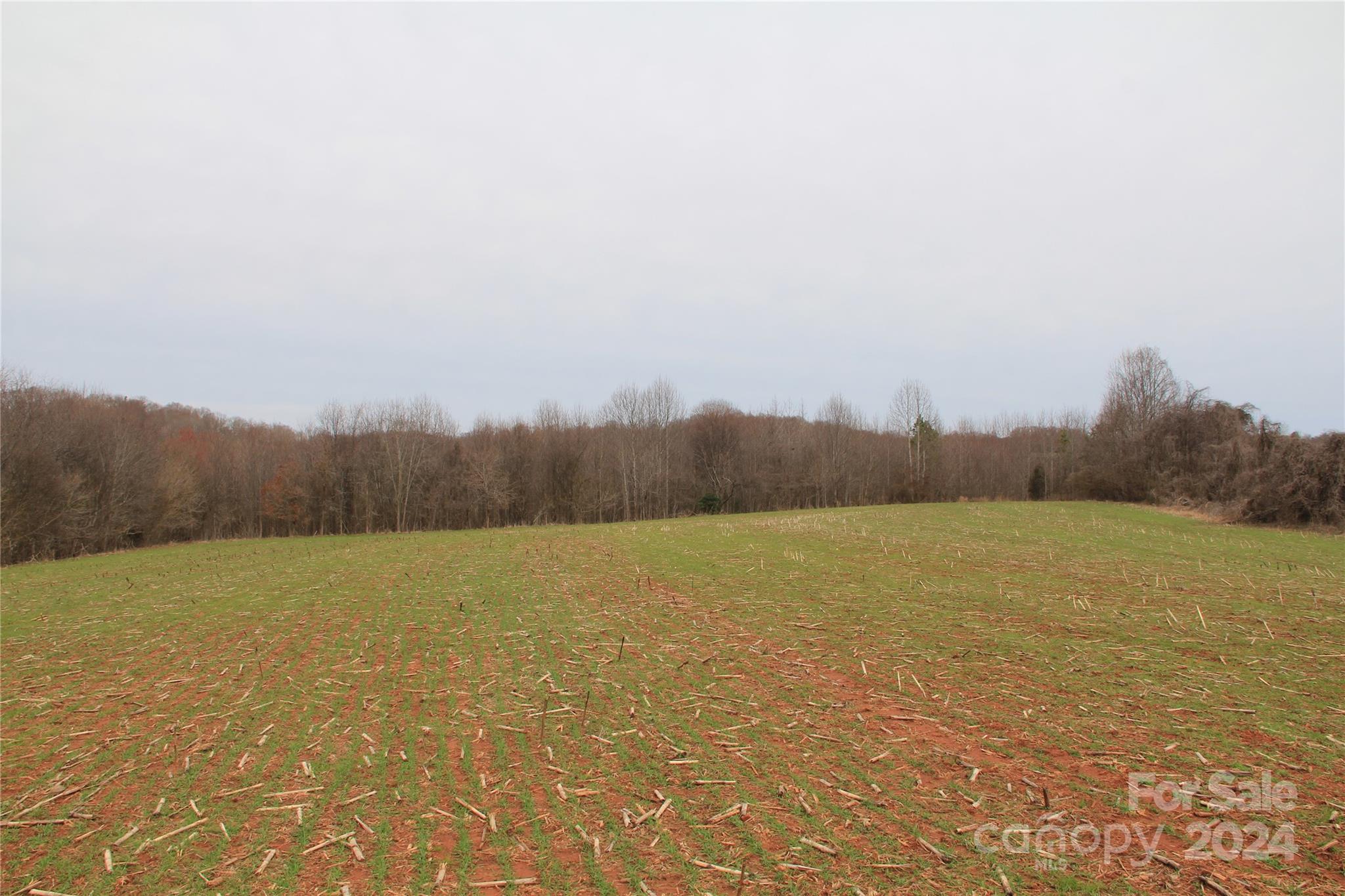 Olin, NC Lot for Sale CAR4109428 Caruso Homes