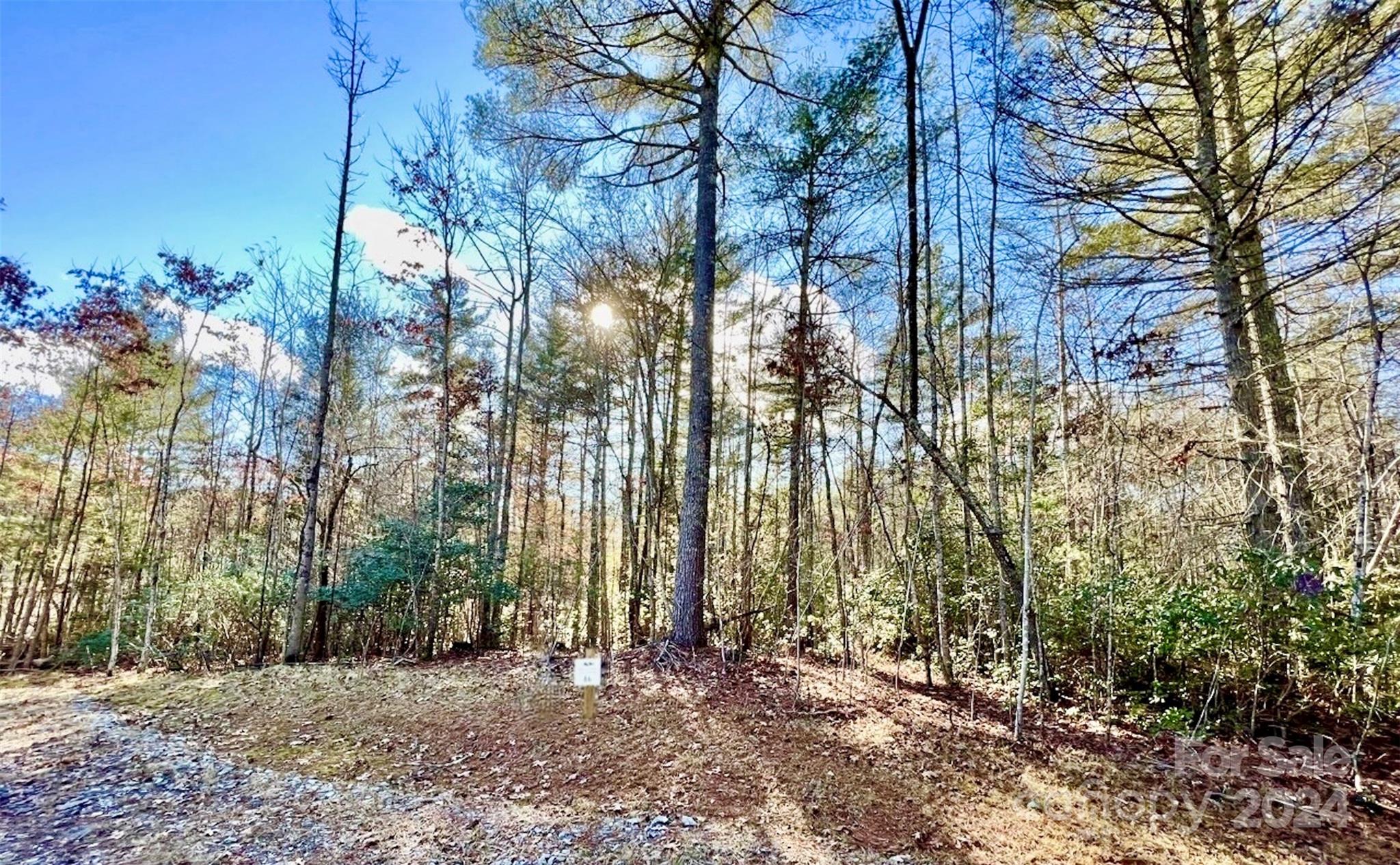 Land for Sale in Charlotte North Carolina Caruso Homes