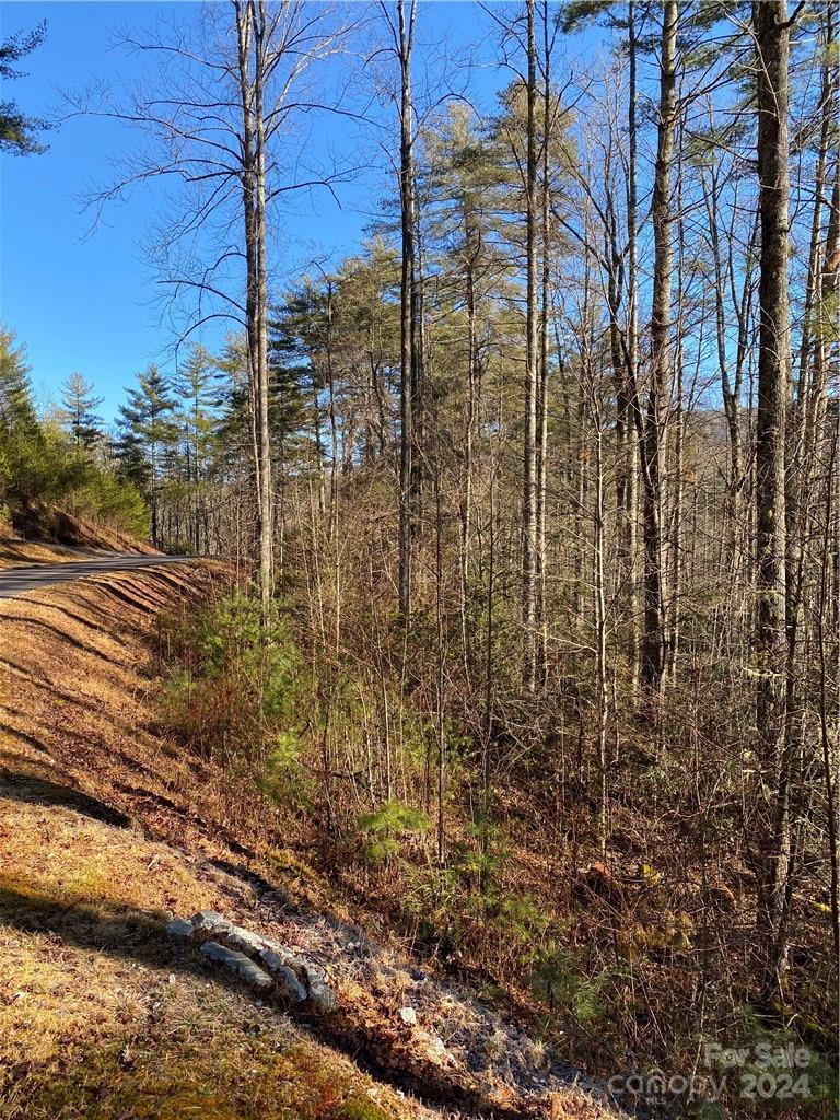 Rosman, NC Lot for Sale CAR4109931 Caruso Homes